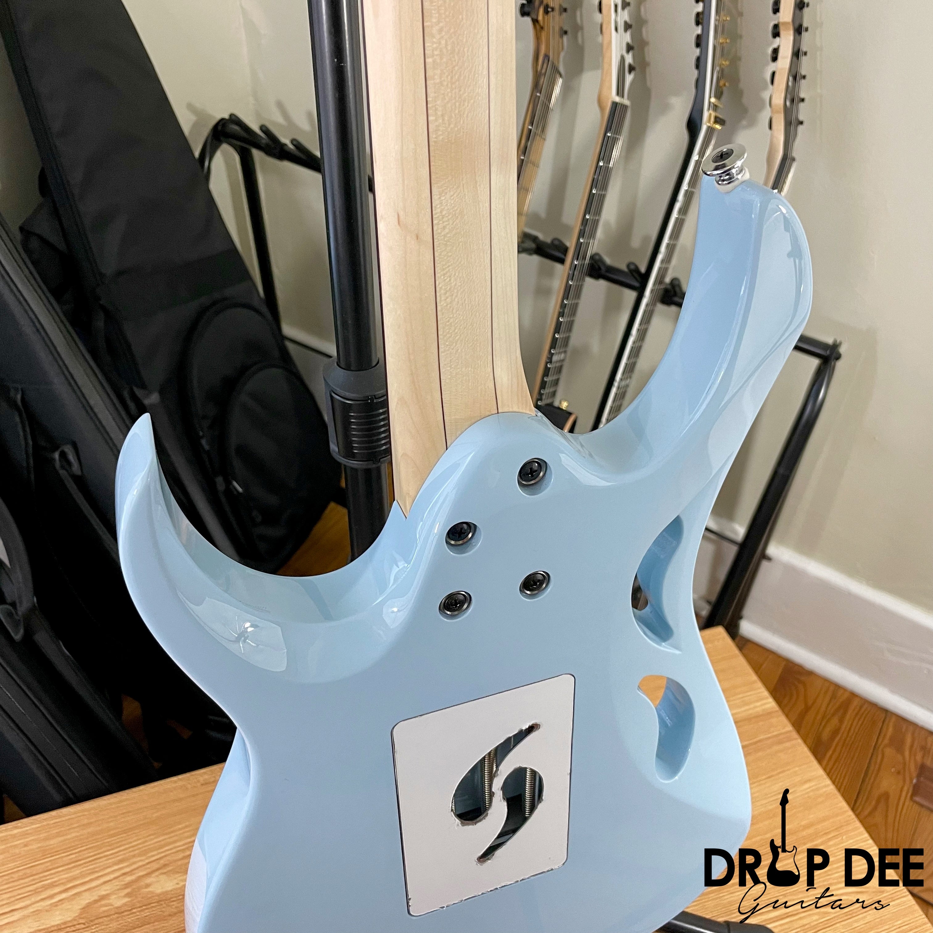 Ibanez Steve Vai Signature PIA3761C Electric Guitar w/ Case