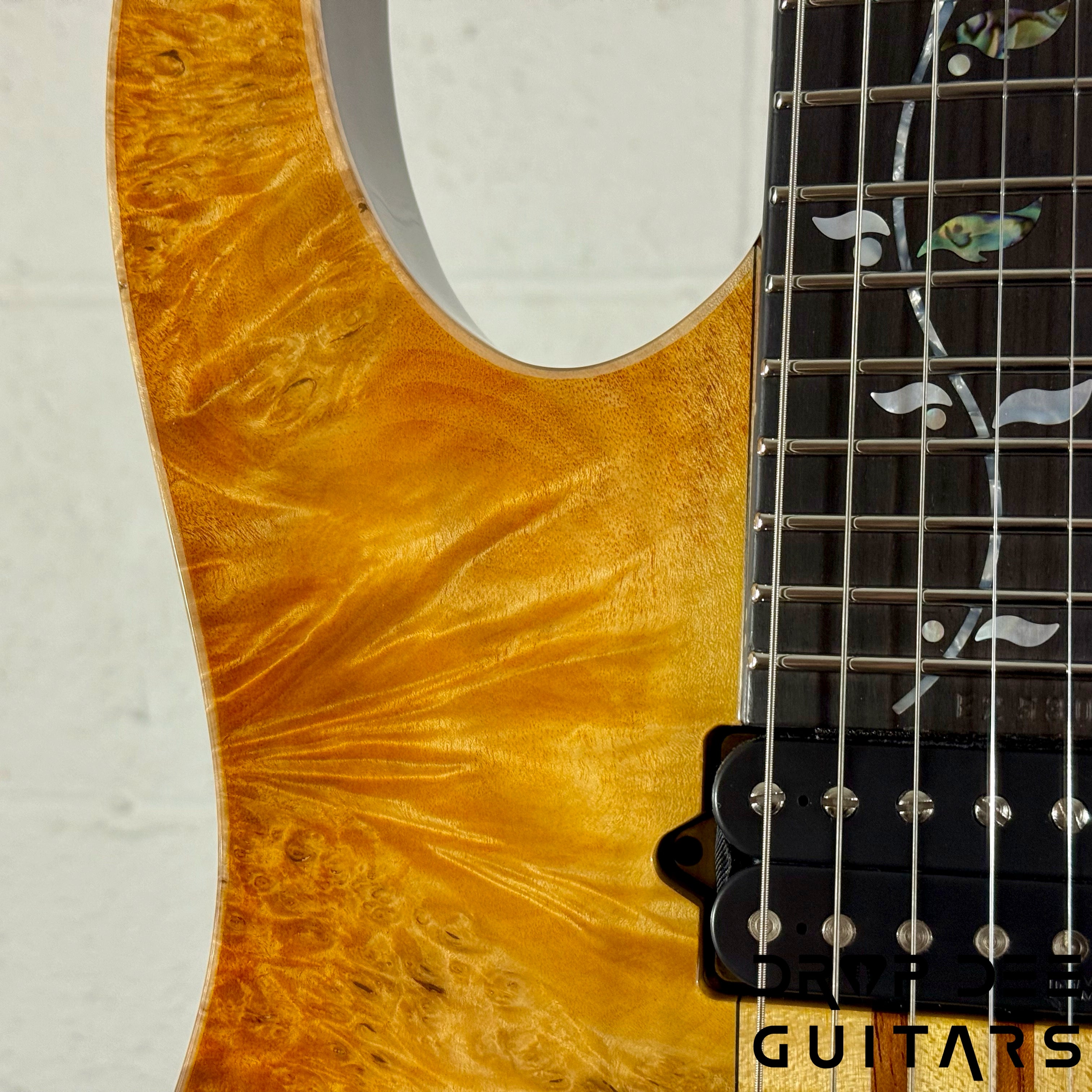 Ibanez Japan Custom Shop RG Visions IV1RG Electric Guitar w/ Case