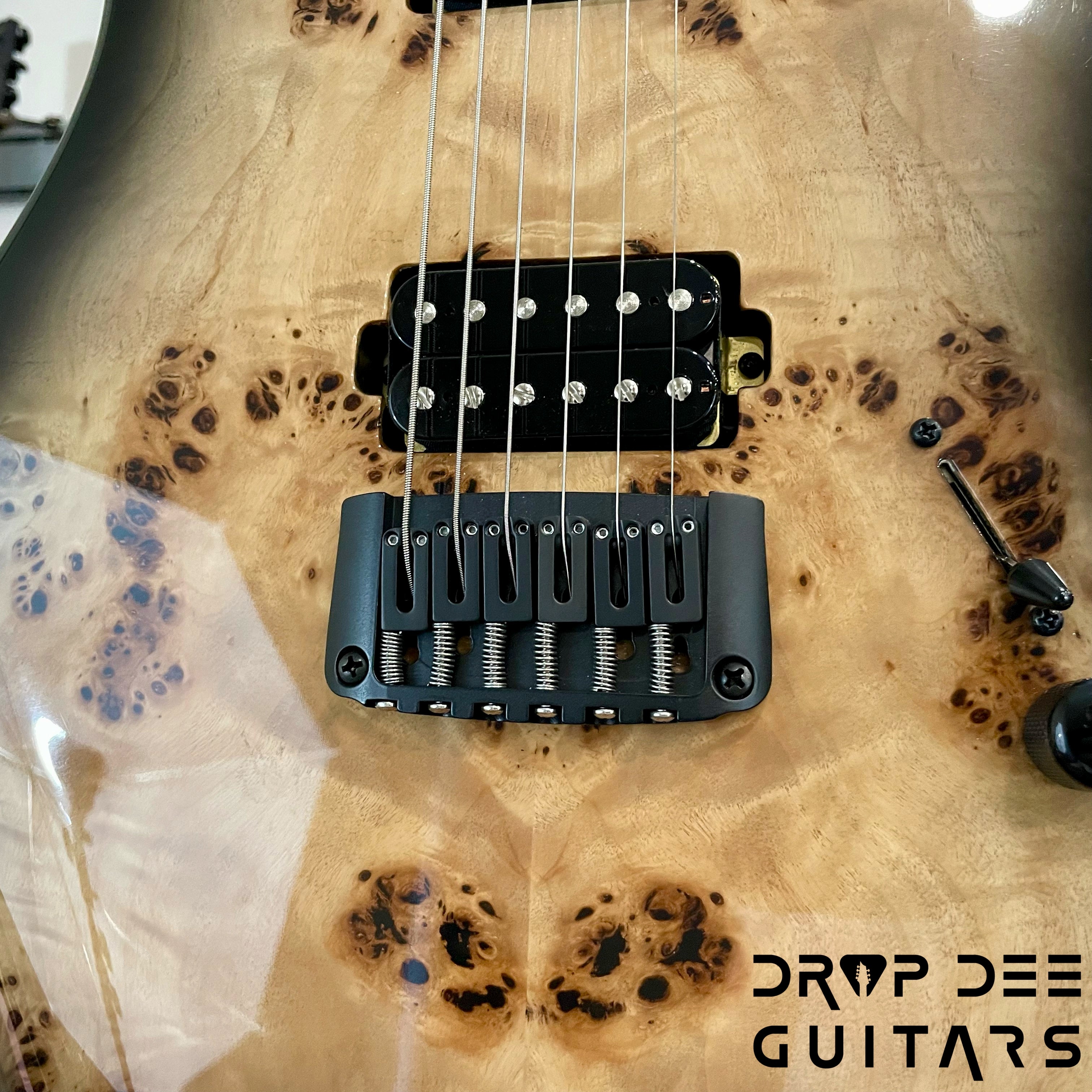 Balaguer DDG Exclusive Select Series Growler Electric Guitar w/ Bag (1947)