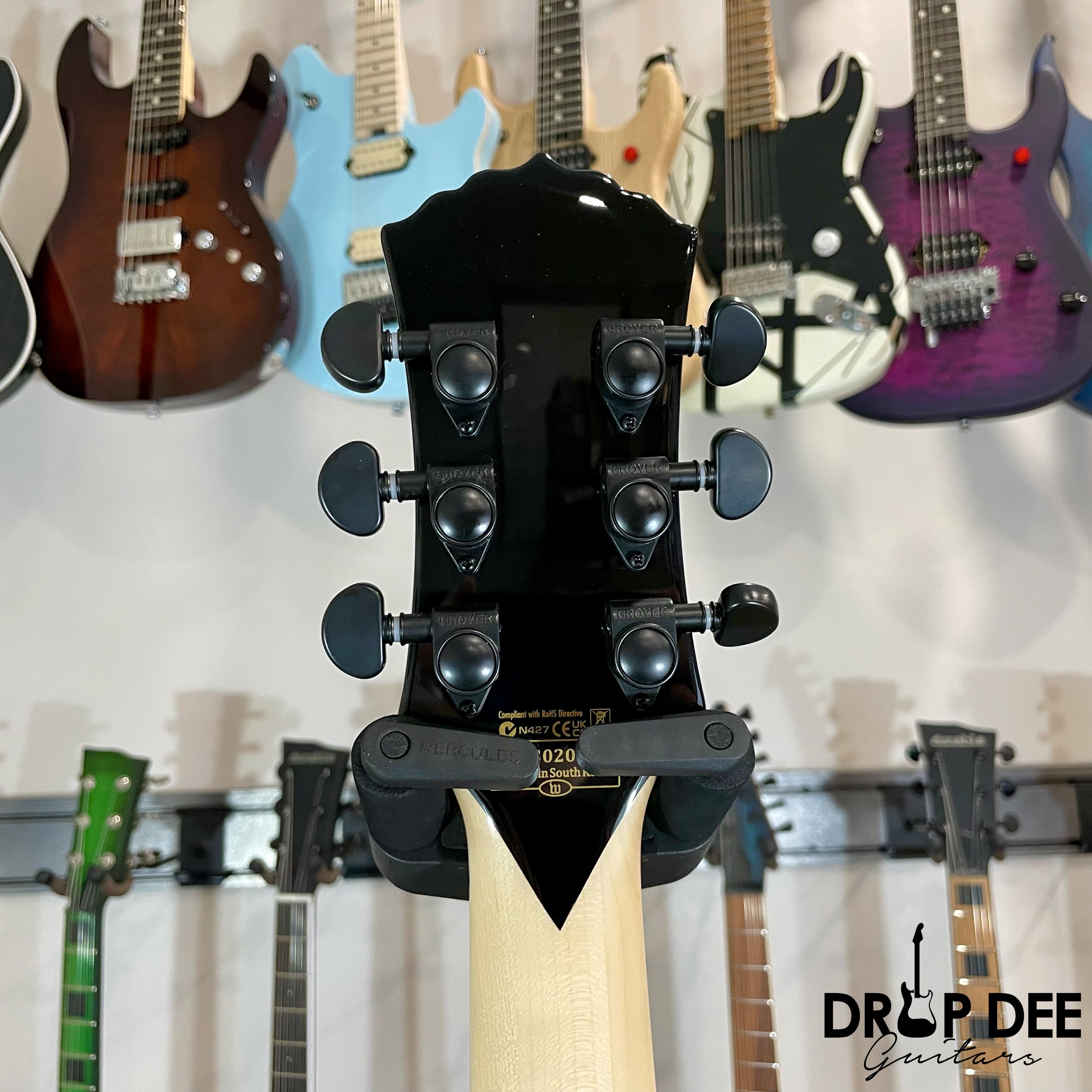 Wylde Audio Heathen Grail Electric Guitar