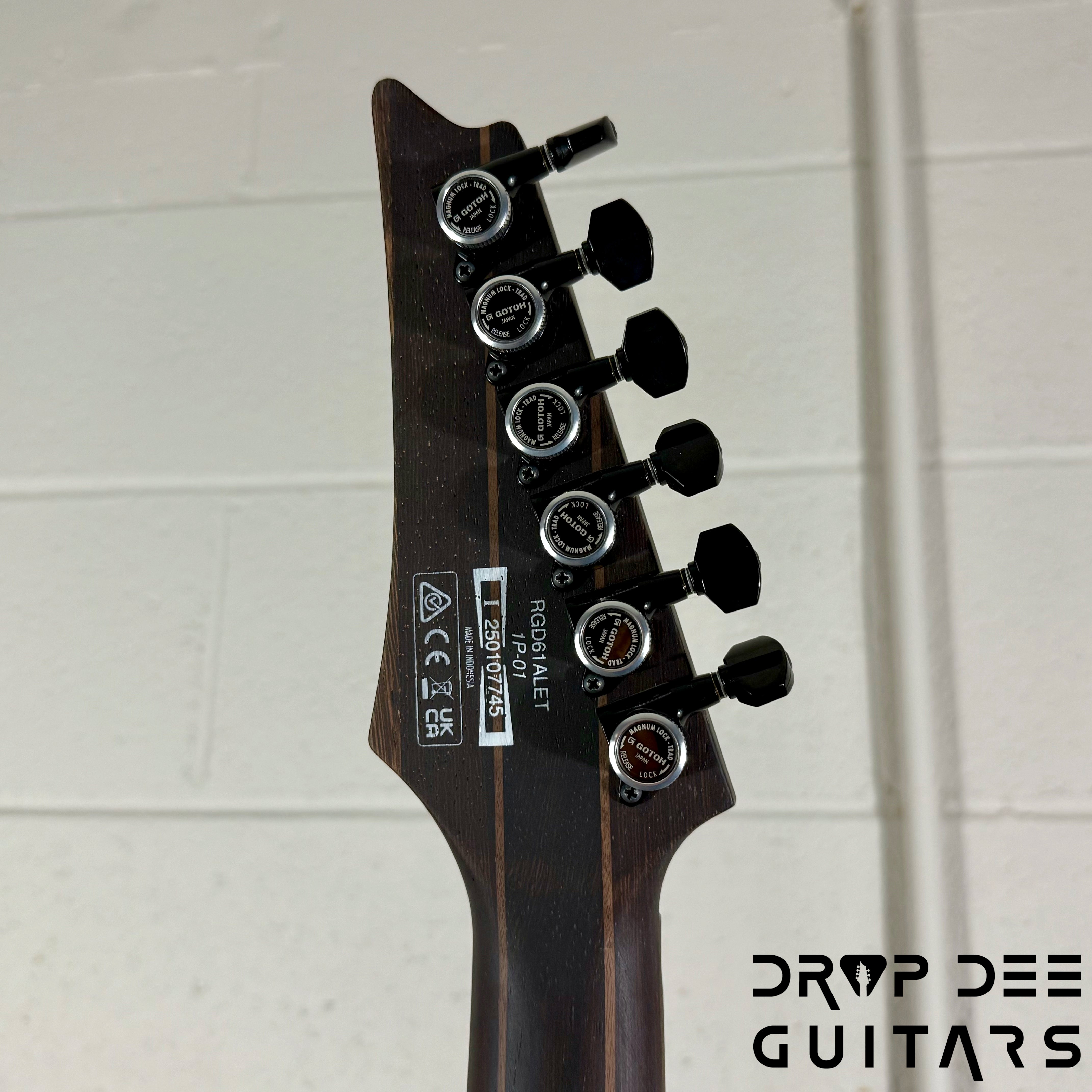 Ibanez Axe Lab Design RGD61ALET Evertune Baritone Electric Guitar