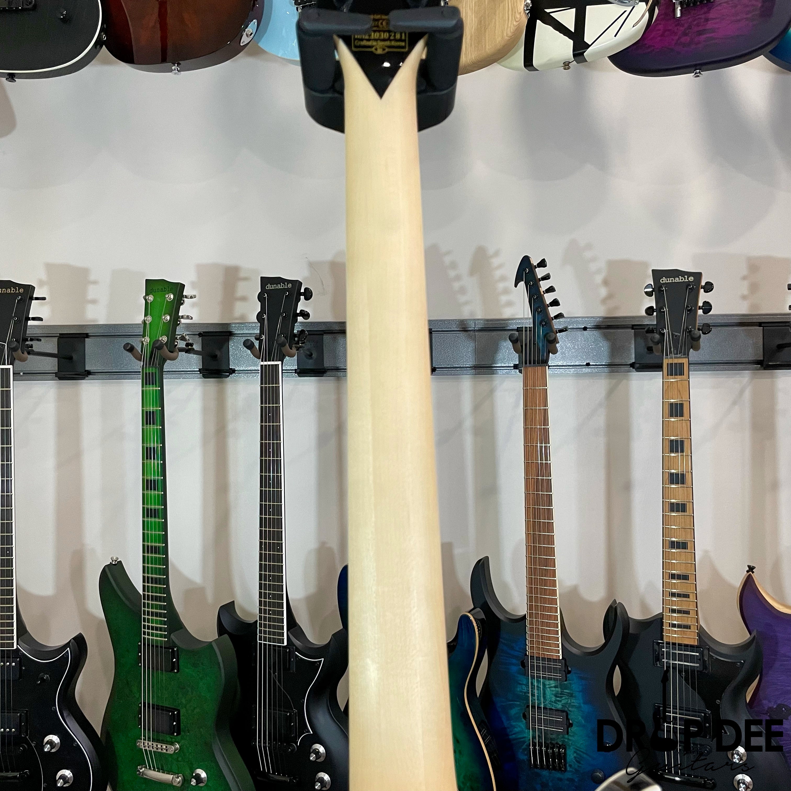Wylde Audio Heathen Grail Electric Guitar