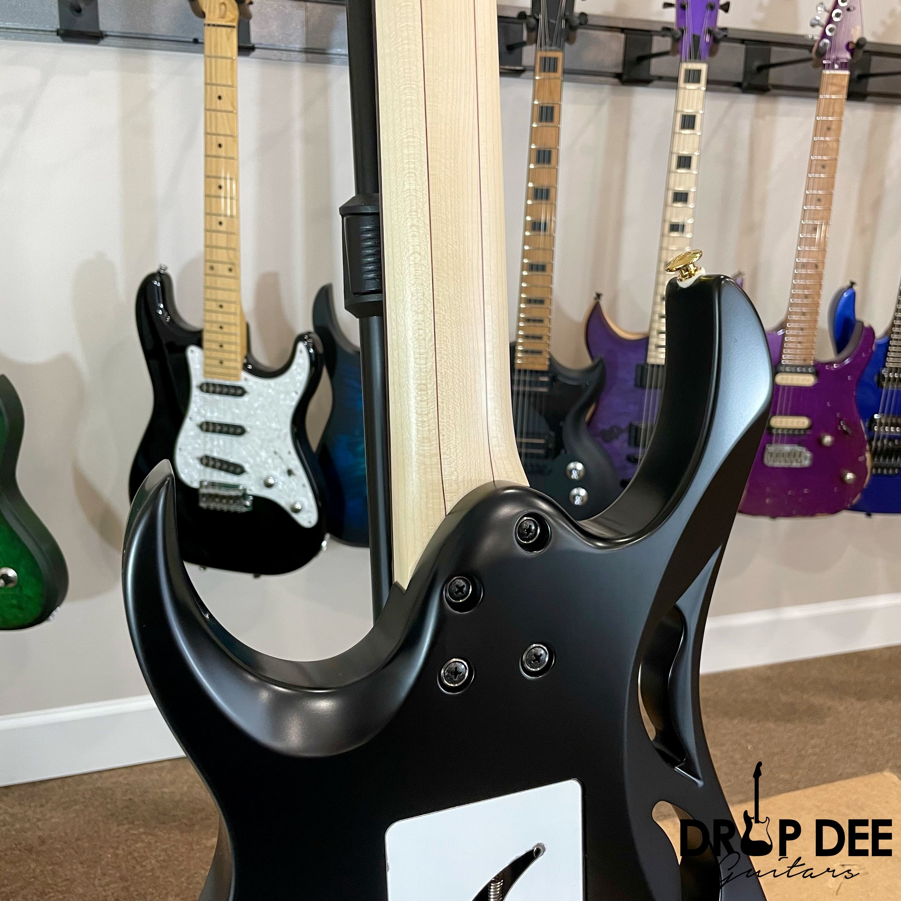 Ibanez Steve Vai Signature PIA3761XB Electric Guitar w/ Case