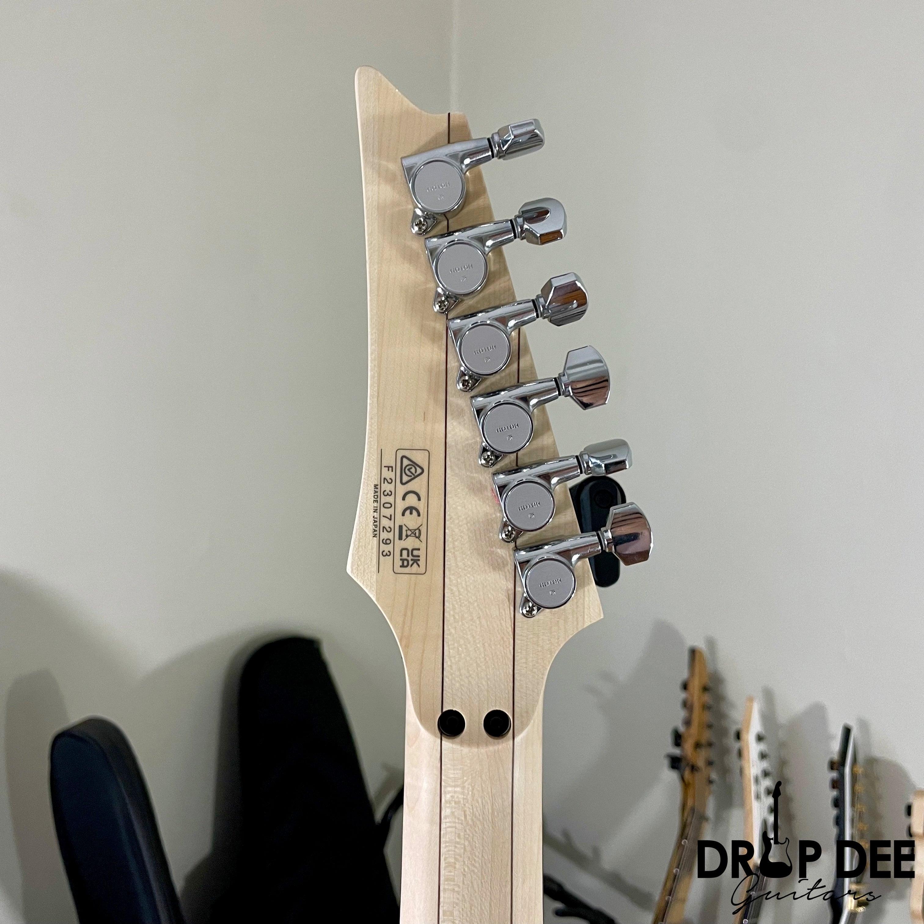 Ibanez Steve Vai Signature PIA3761C Electric Guitar w/ Case