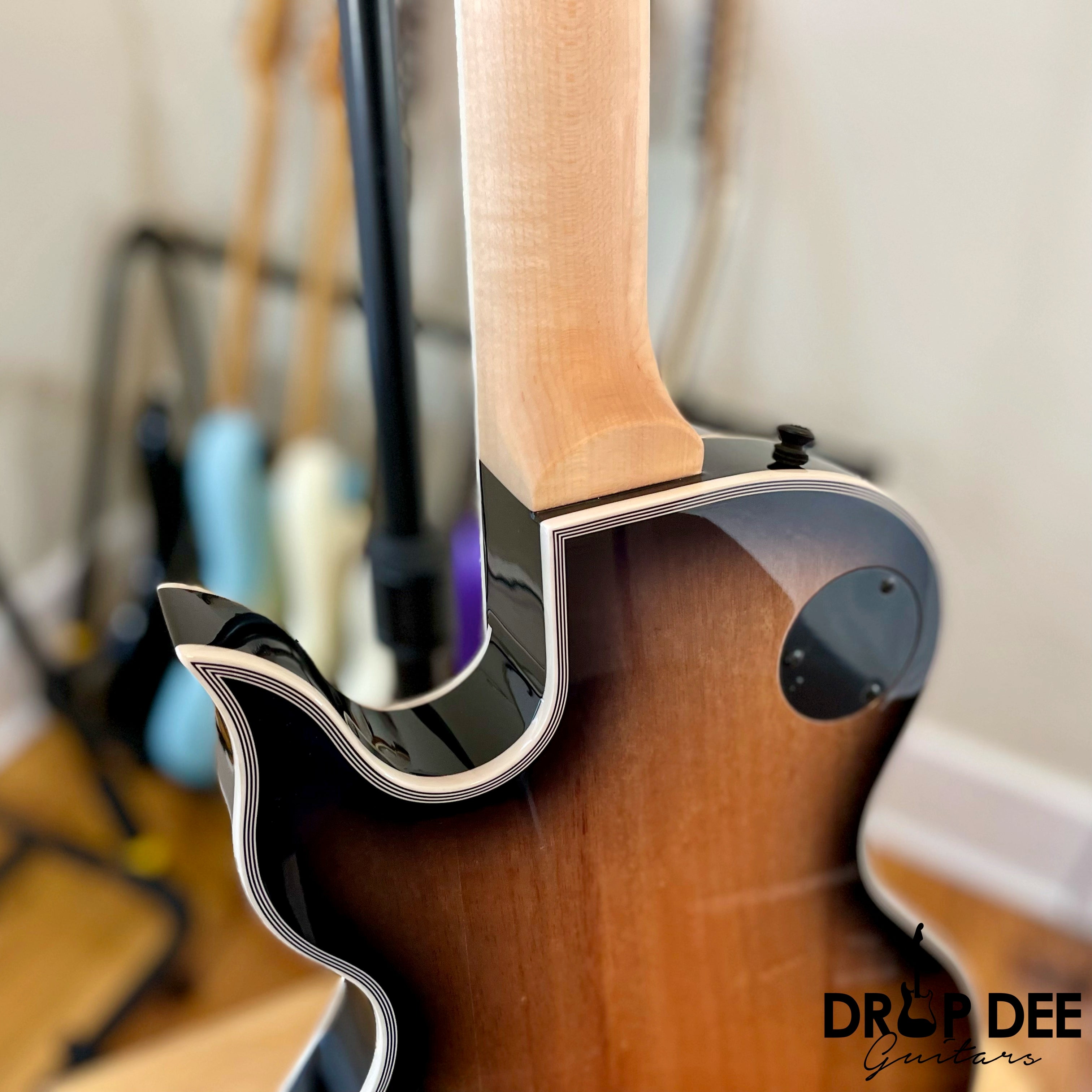 Wylde Audio Odin Grail Electric Guitar