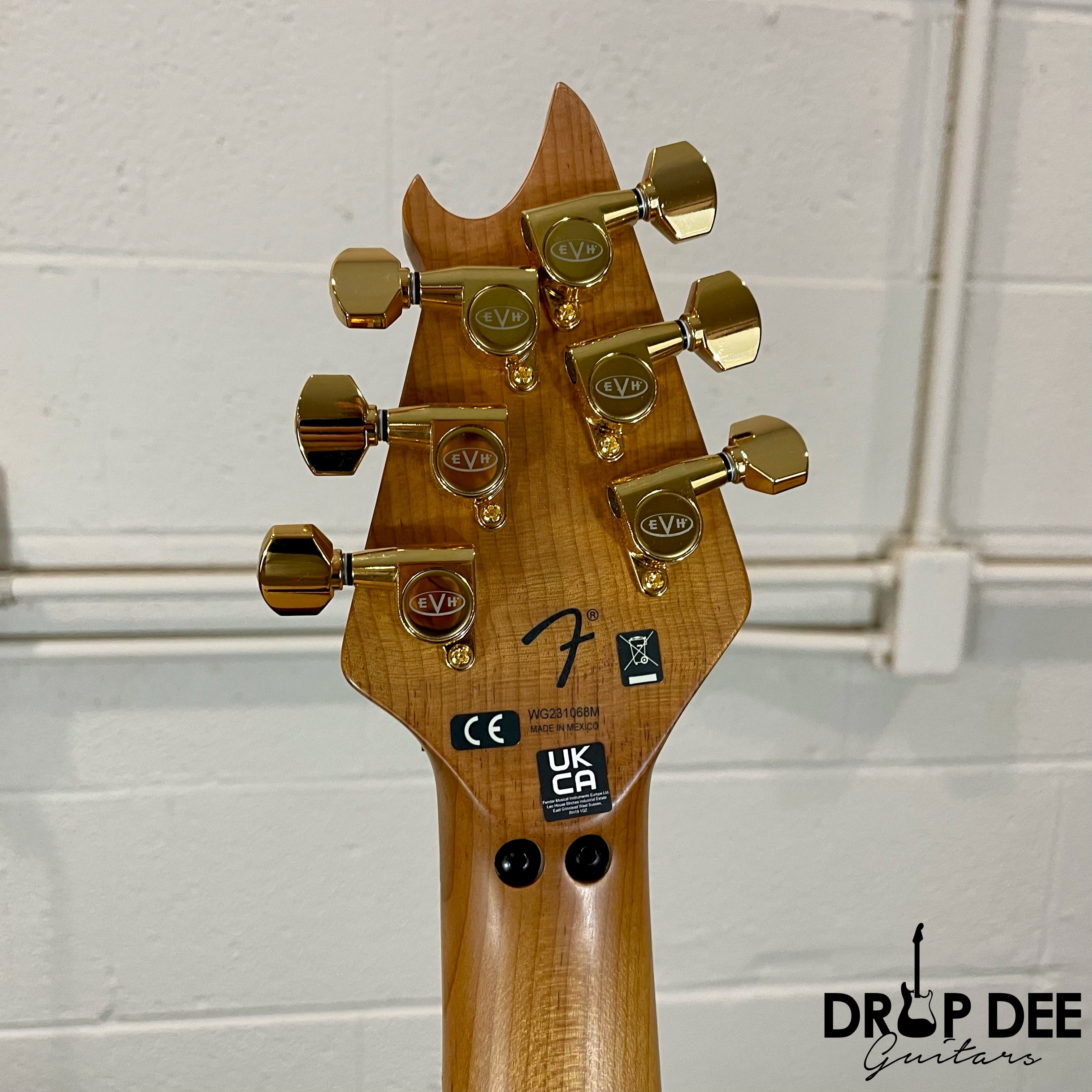 EVH Wolfgang Special QM Electric Guitar