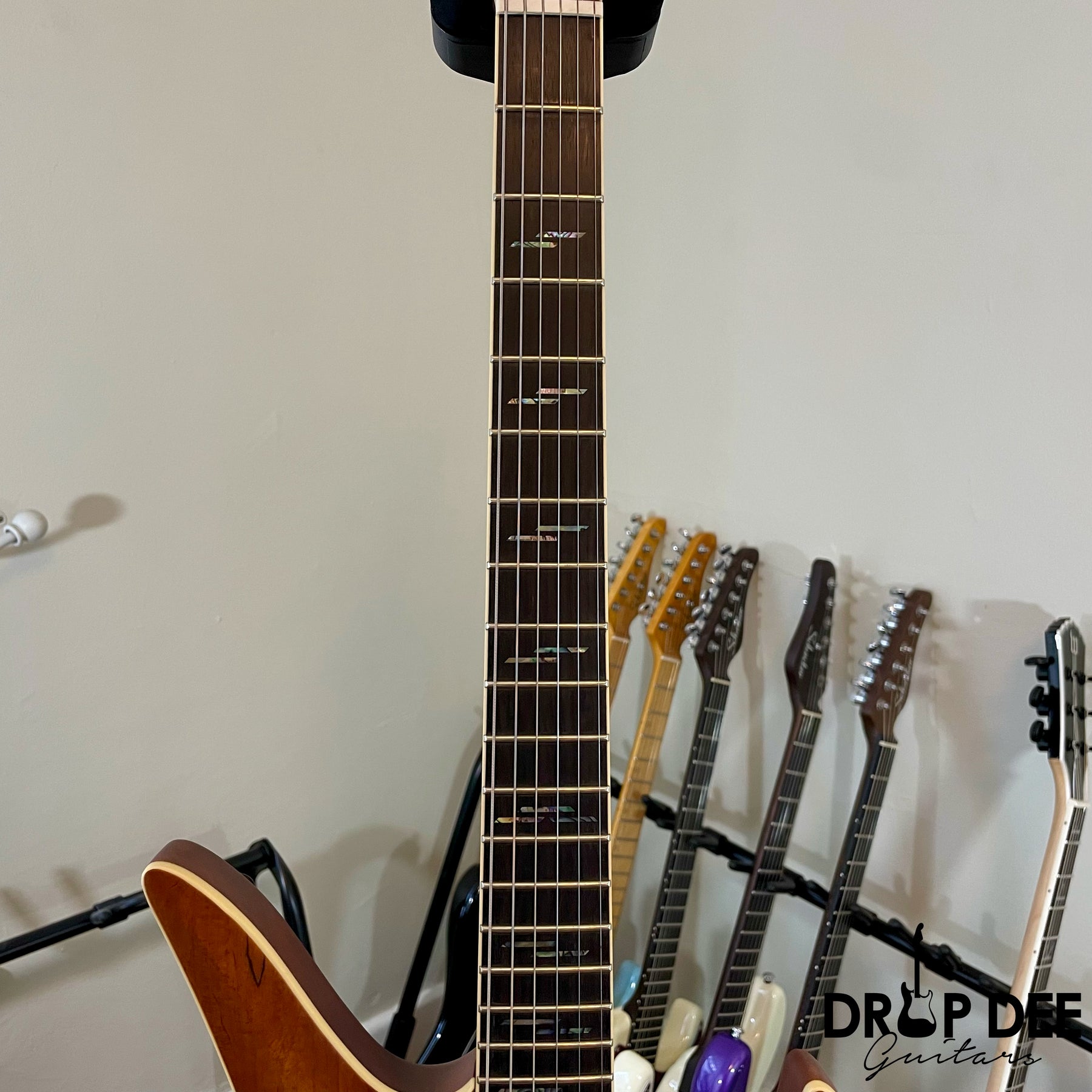 Schecter Avenger Exotic Electric Guitar