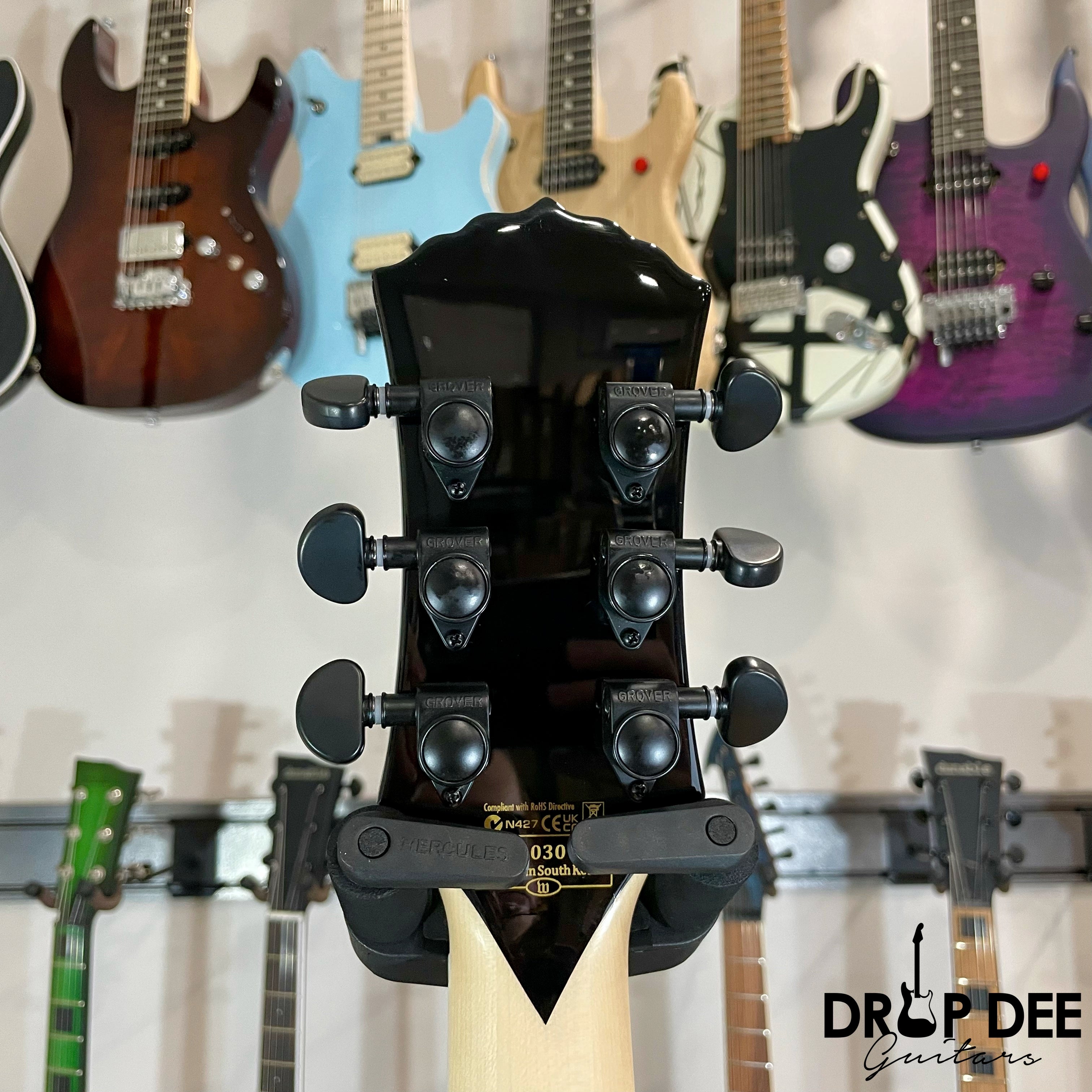 Wylde Audio Heathen Grail Electric Guitar