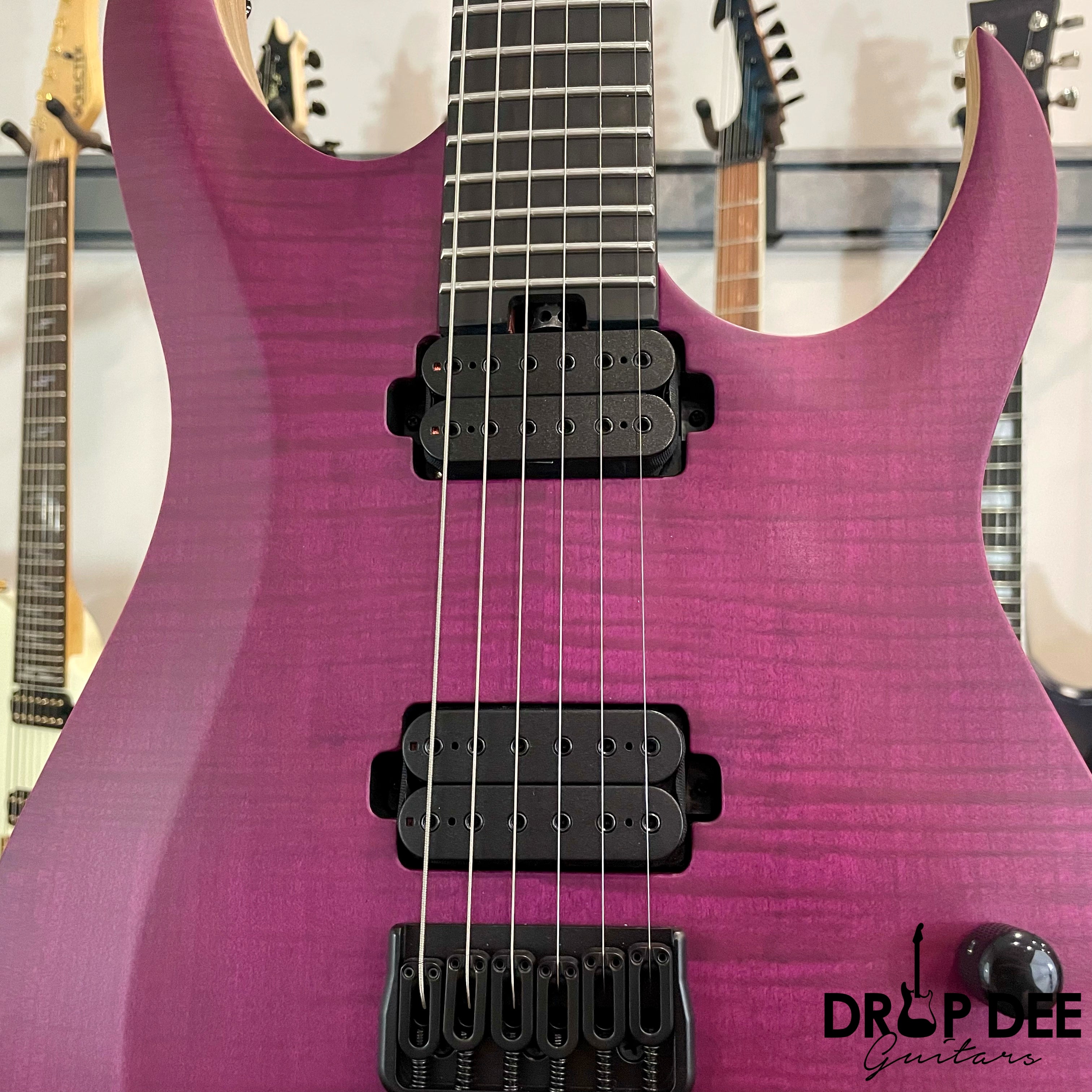 Schecter John Browne Tao-6 Electric Guitar