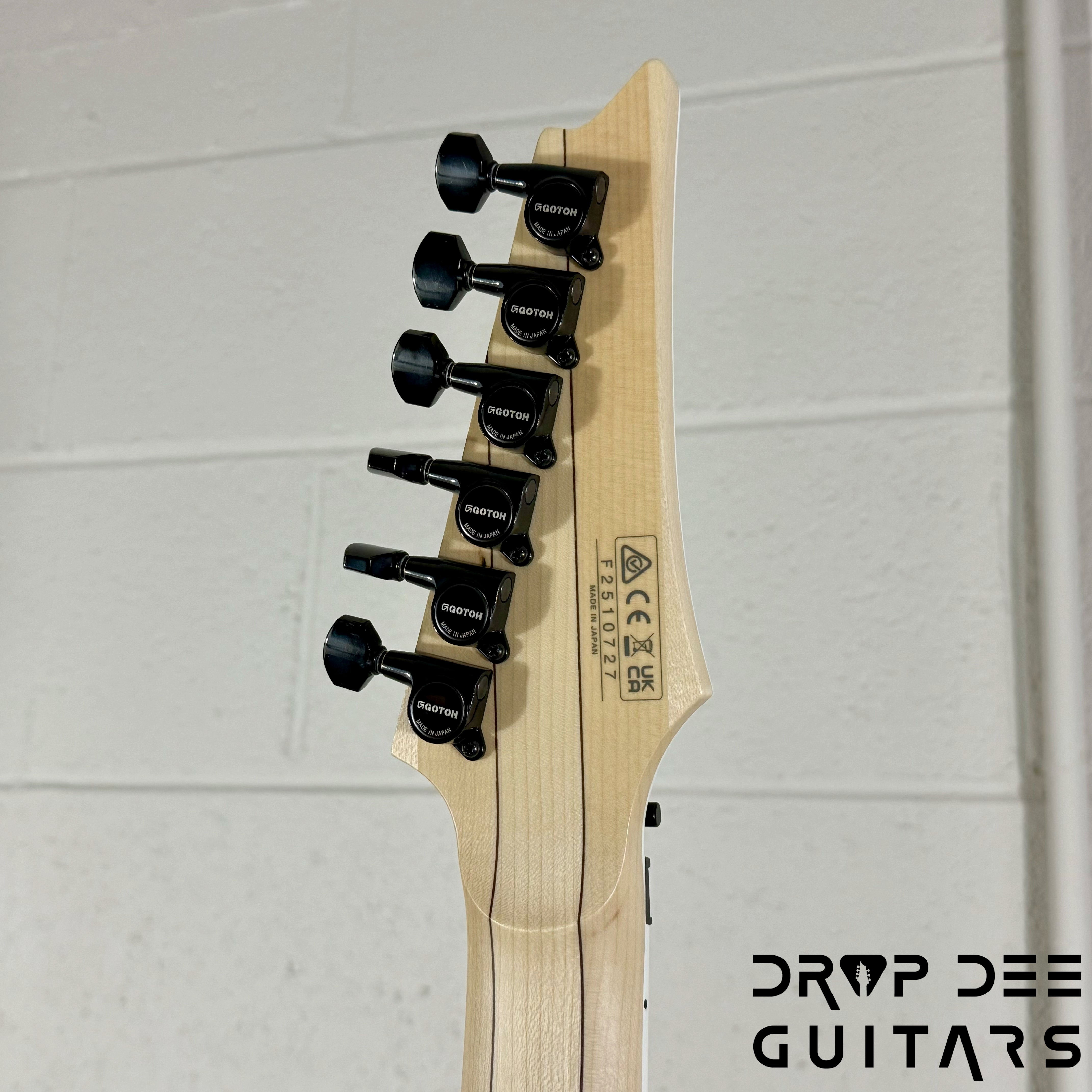 Ibanez Genesis Collection RG565R Electric Guitar