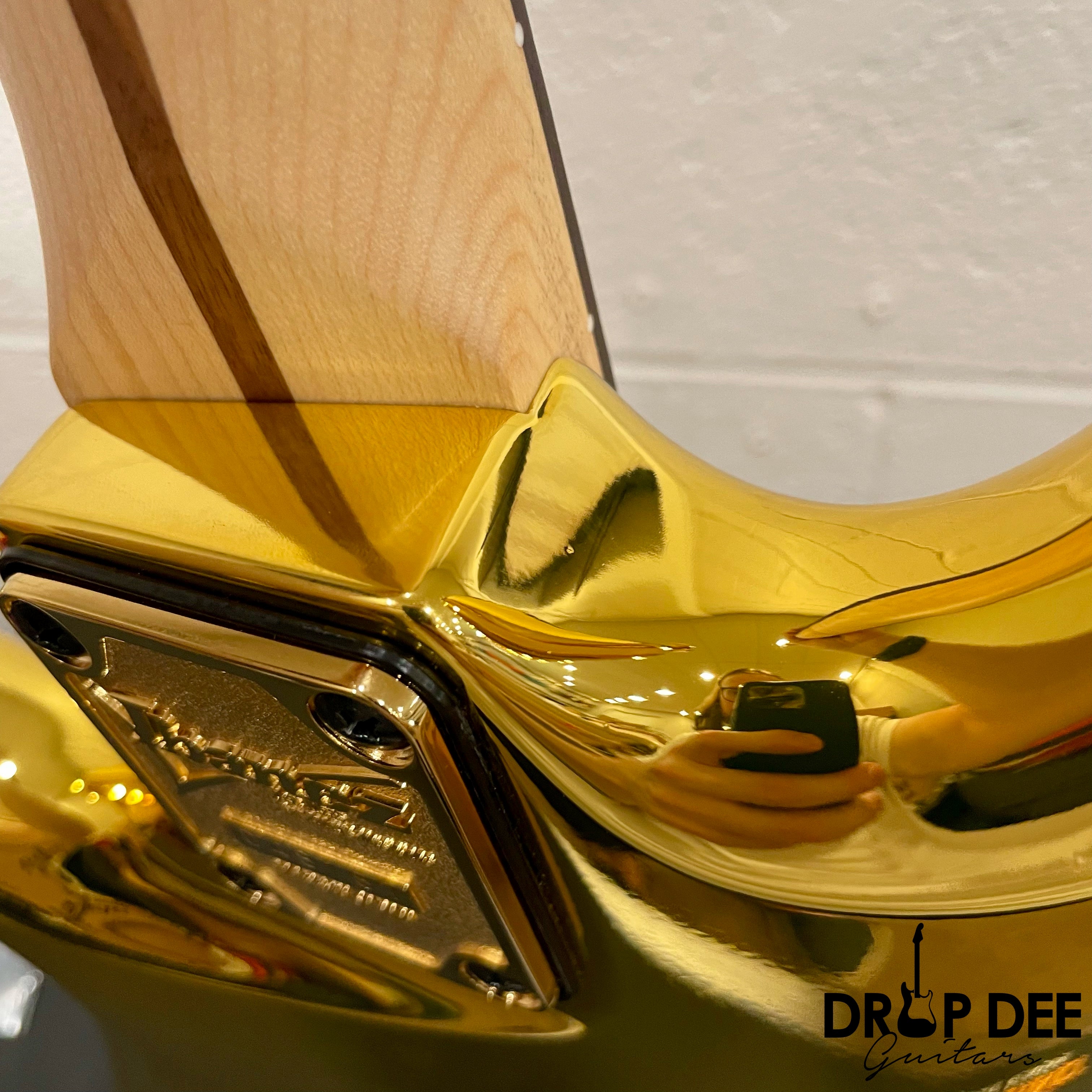 Ibanez Joe Satriani Signature JS2GD Electric Guitar w/ Case