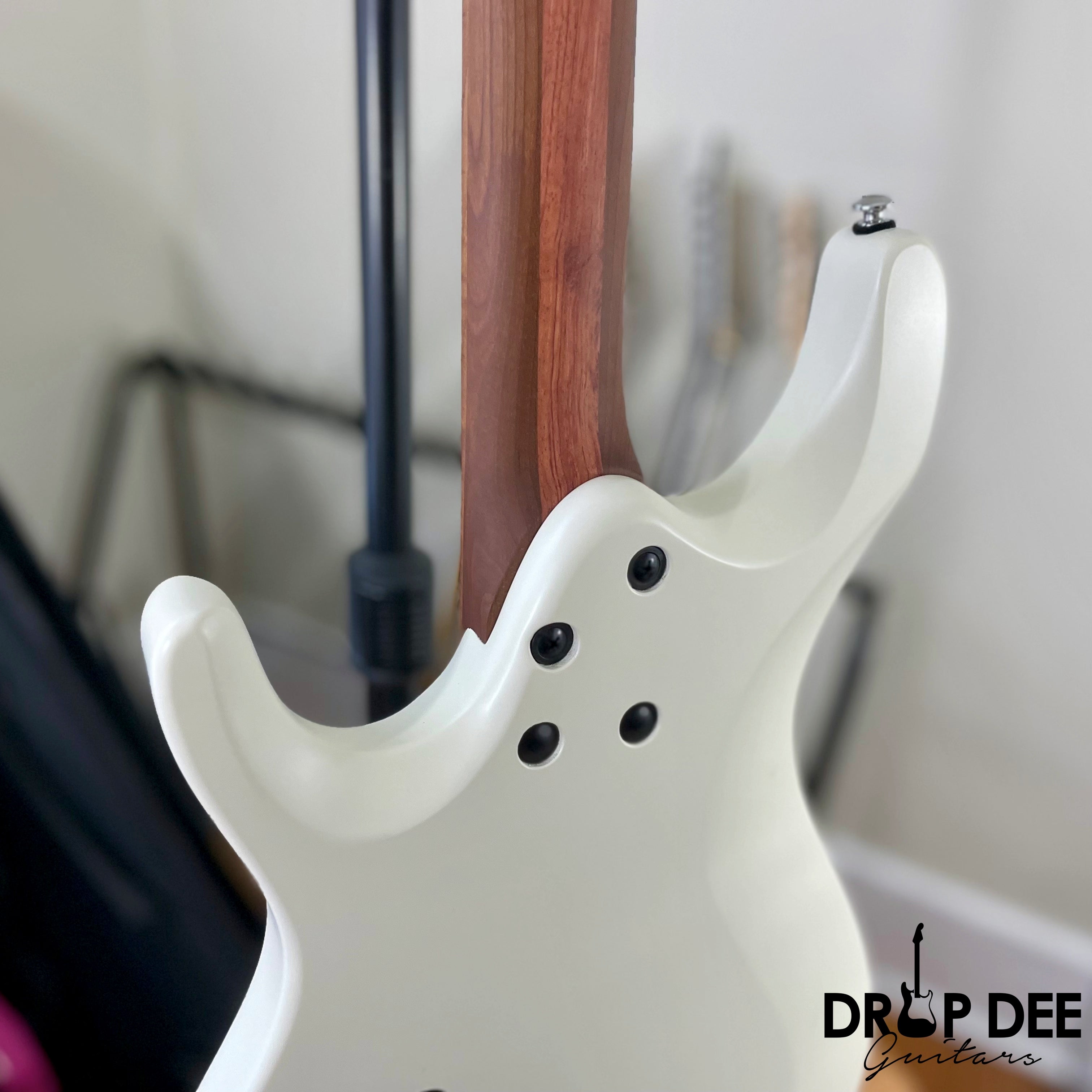 Ibanez Ichika Nito Signature ICHI10 Electric Guitar w/ Bag