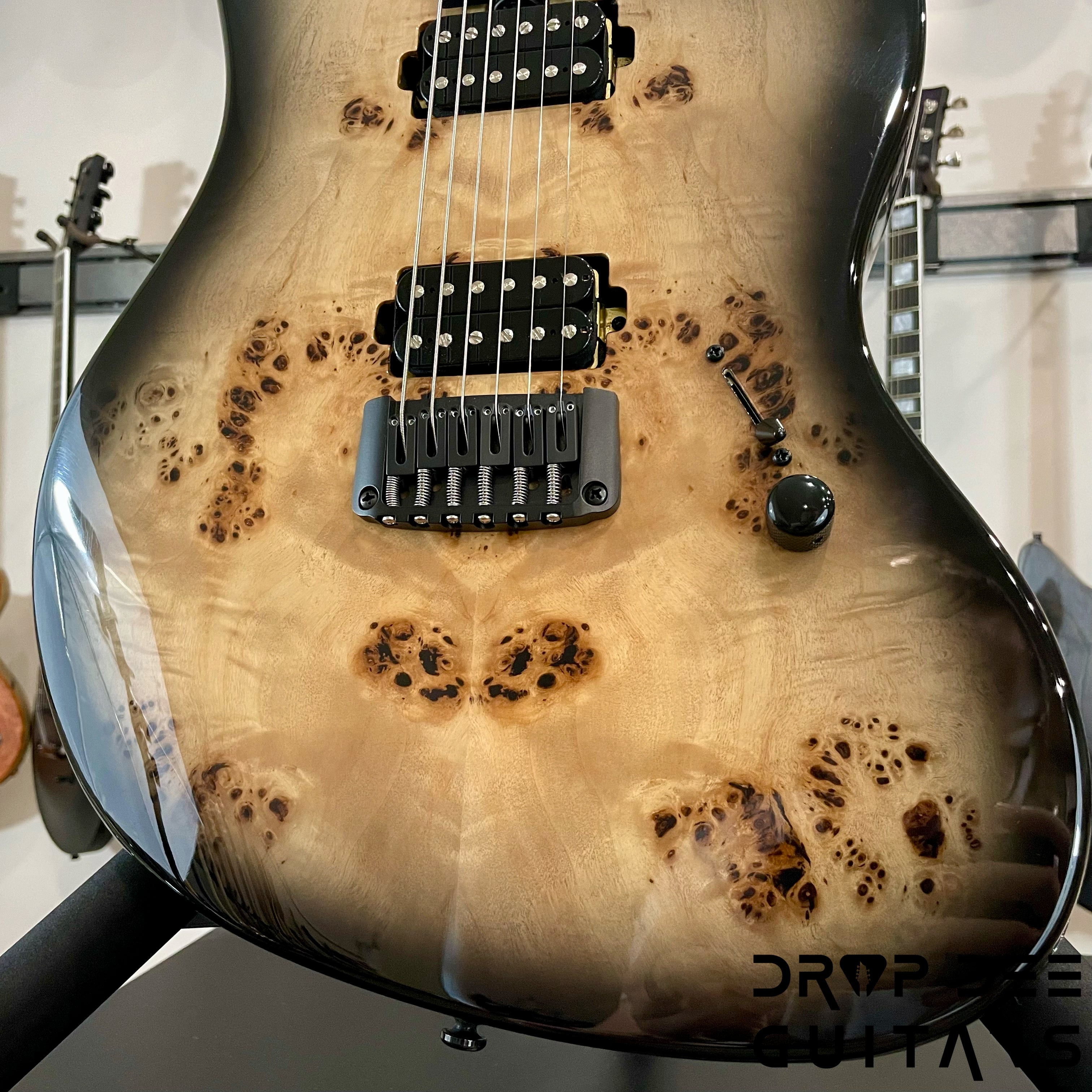 Balaguer DDG Exclusive Select Series Growler Electric Guitar w/ Bag (1947)