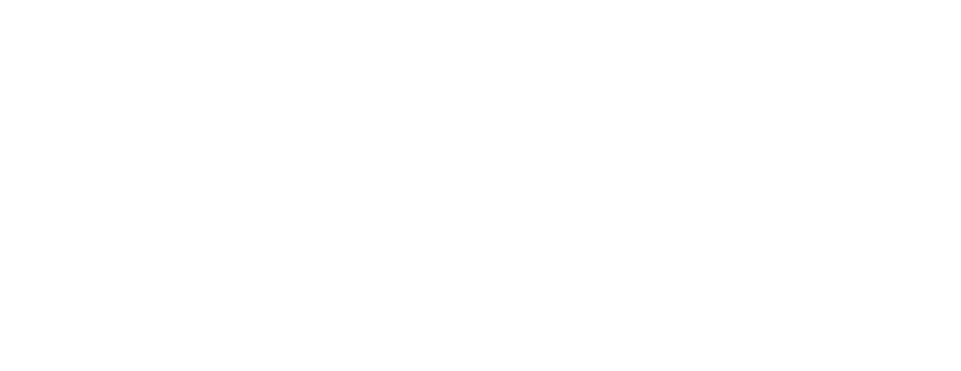 Drop Dee Guitars logo