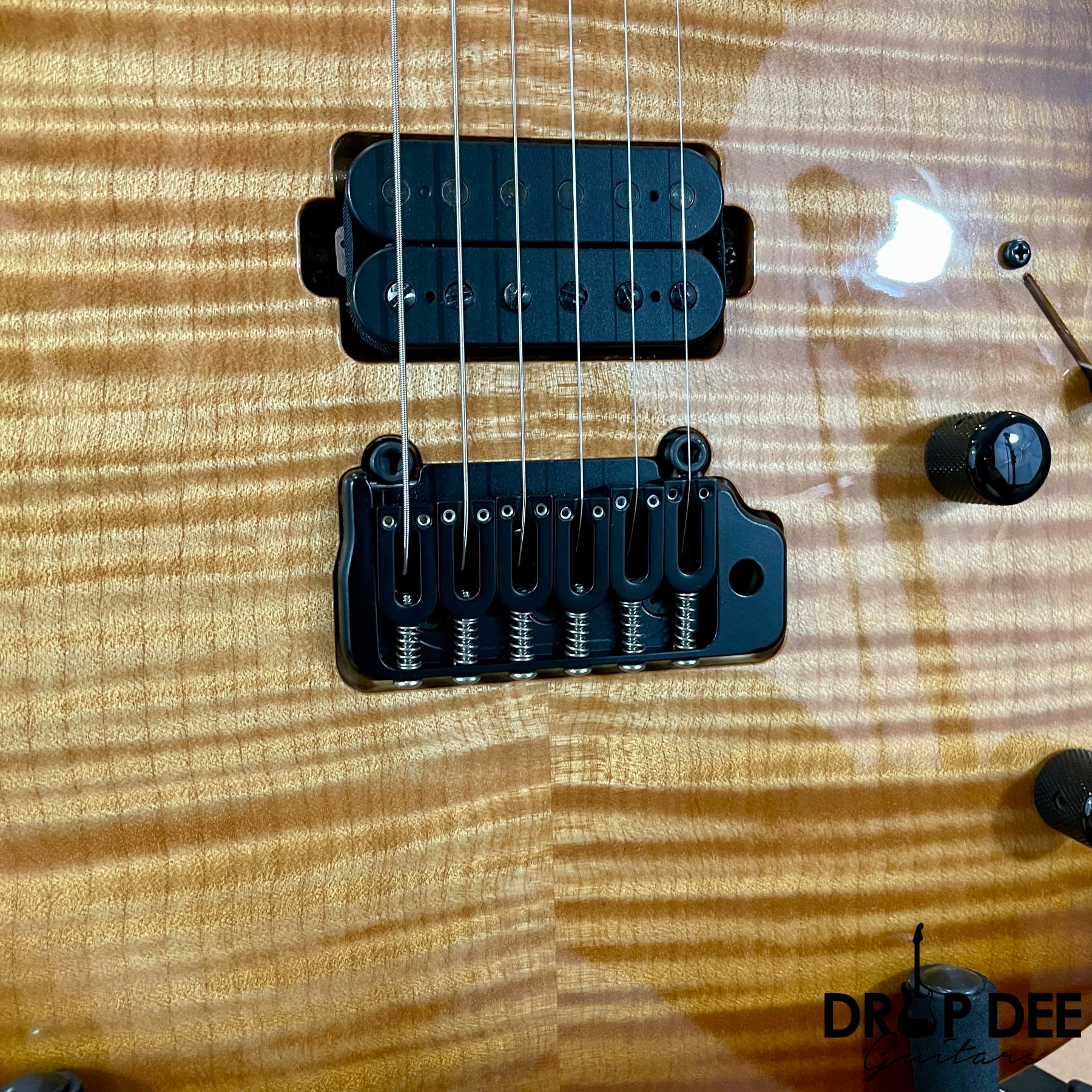 Kiesel Theos Electric Guitar w/ Case