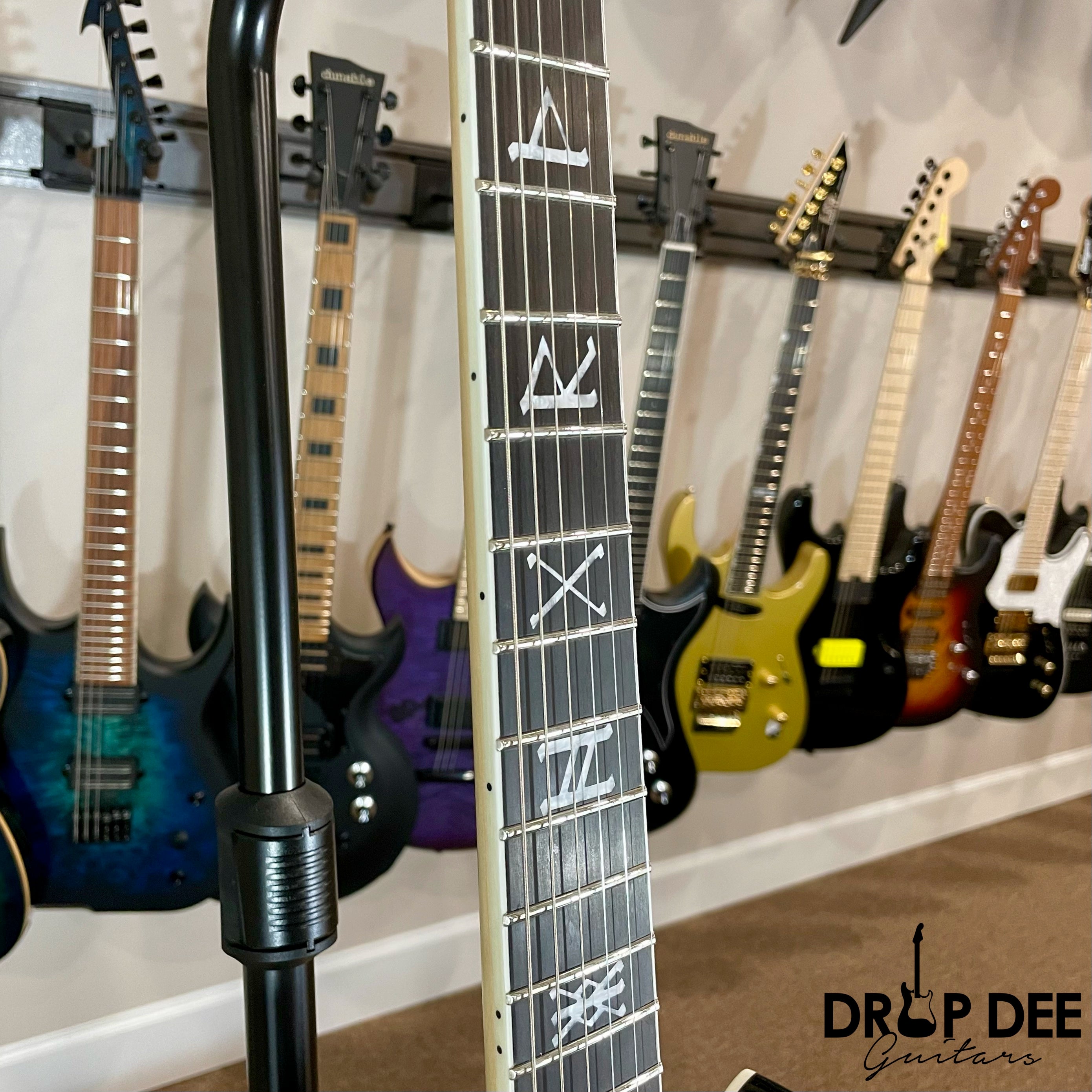 Wylde Audio Heathen Grail Electric Guitar