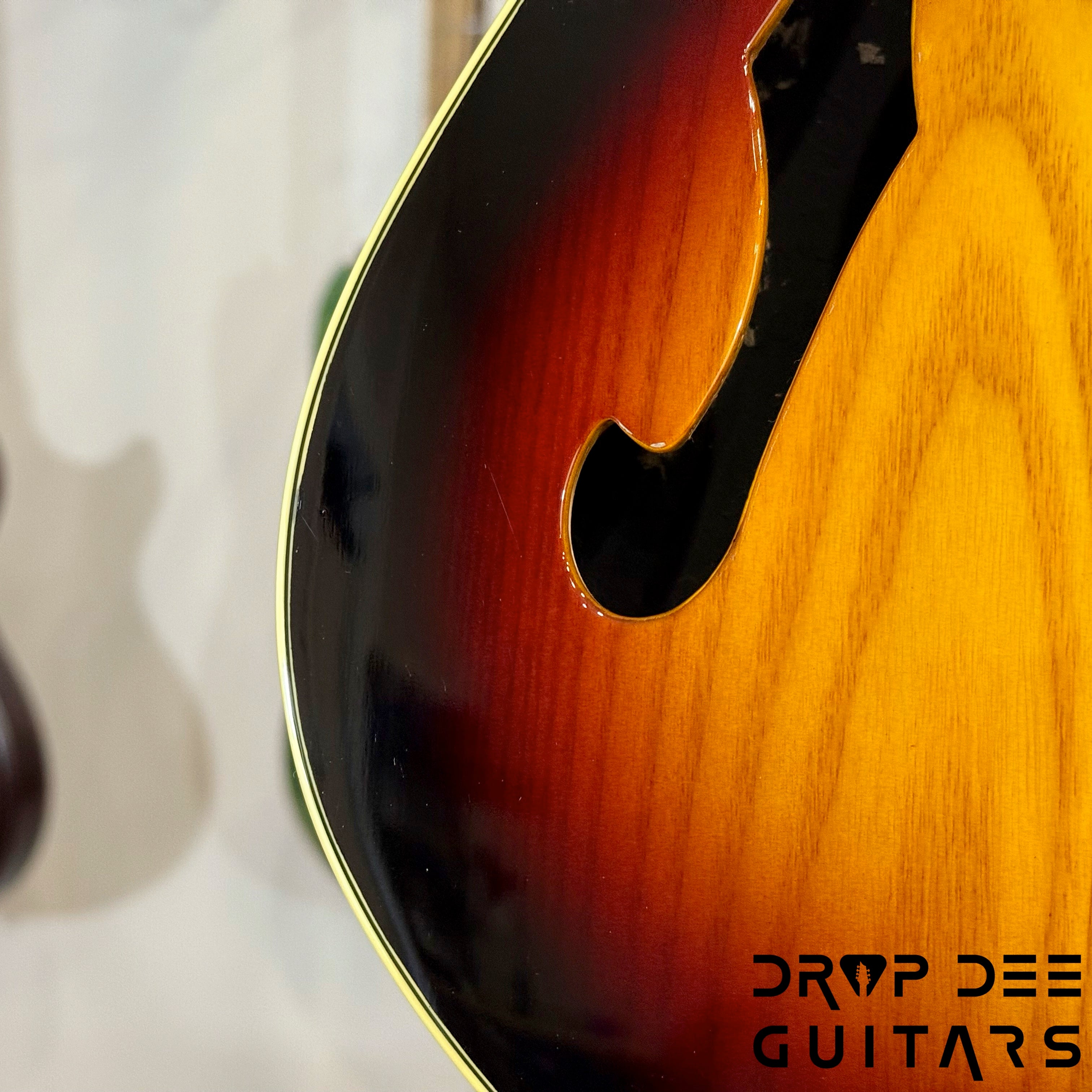 Balaguer Select Series Espada Ambient Electric Guitar w/ Bag (4110)