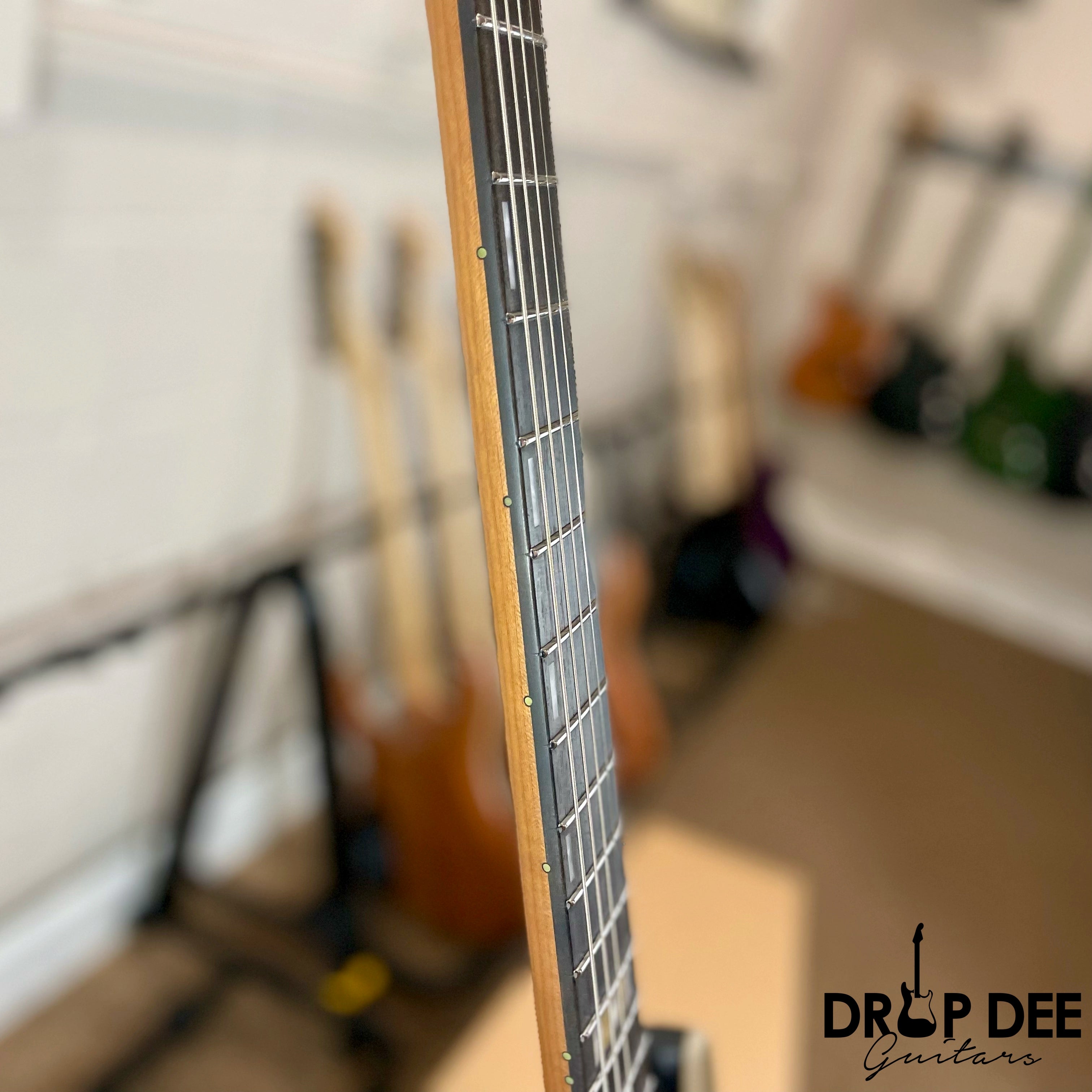 Ibanez Scott LePage Signature KRYS10 Electric Guitar w/ Bag