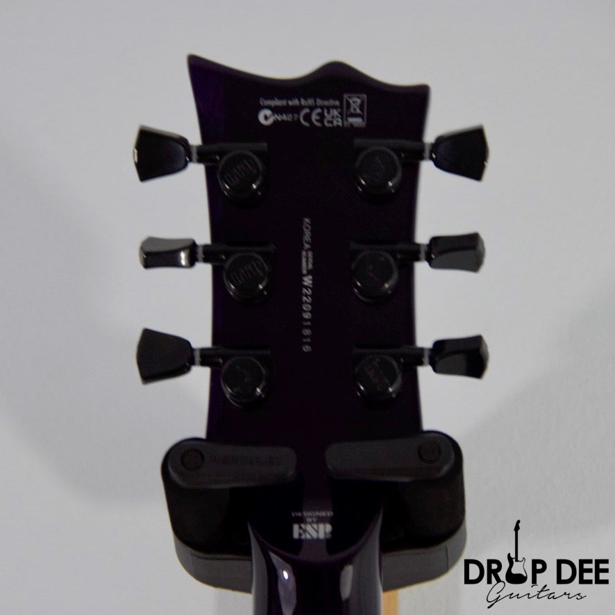 ESP LTD EC-1000 Electric Guitar