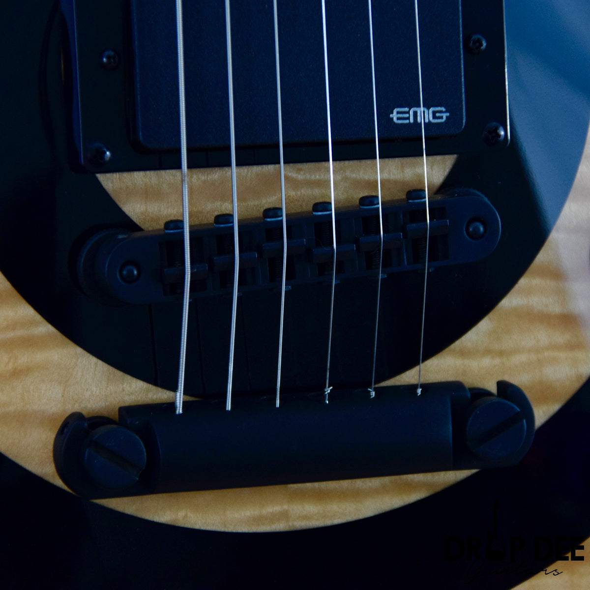 Wylde Audio Odin Grail Electric Guitar