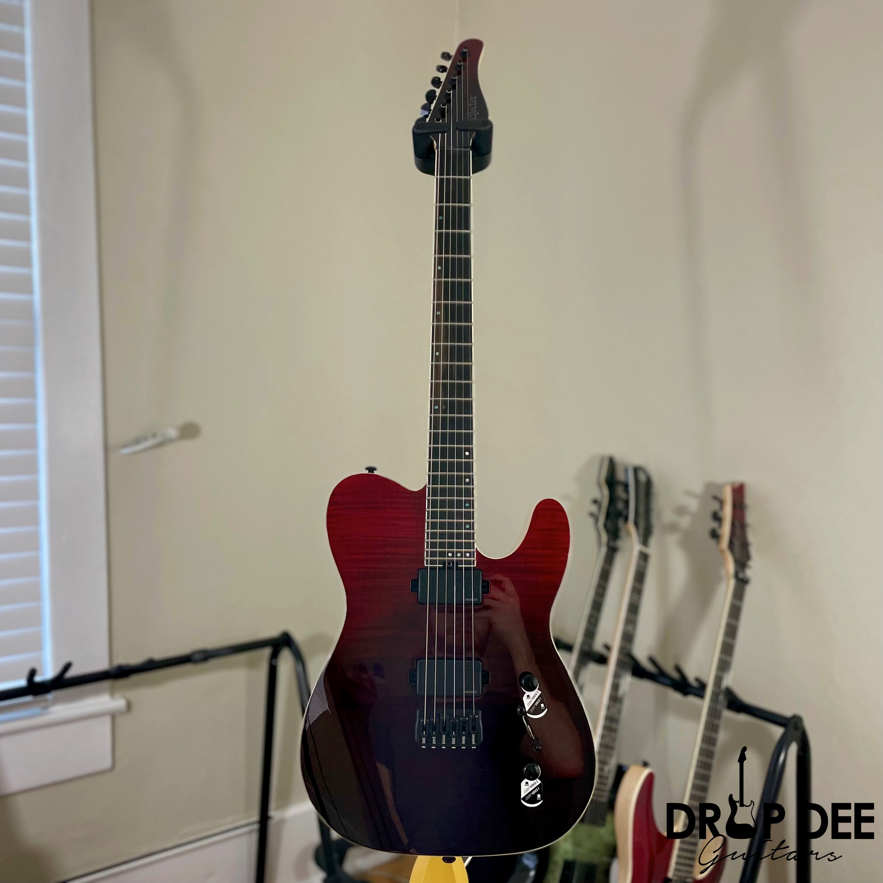 Schecter PT SLS Elite Electric Guitar