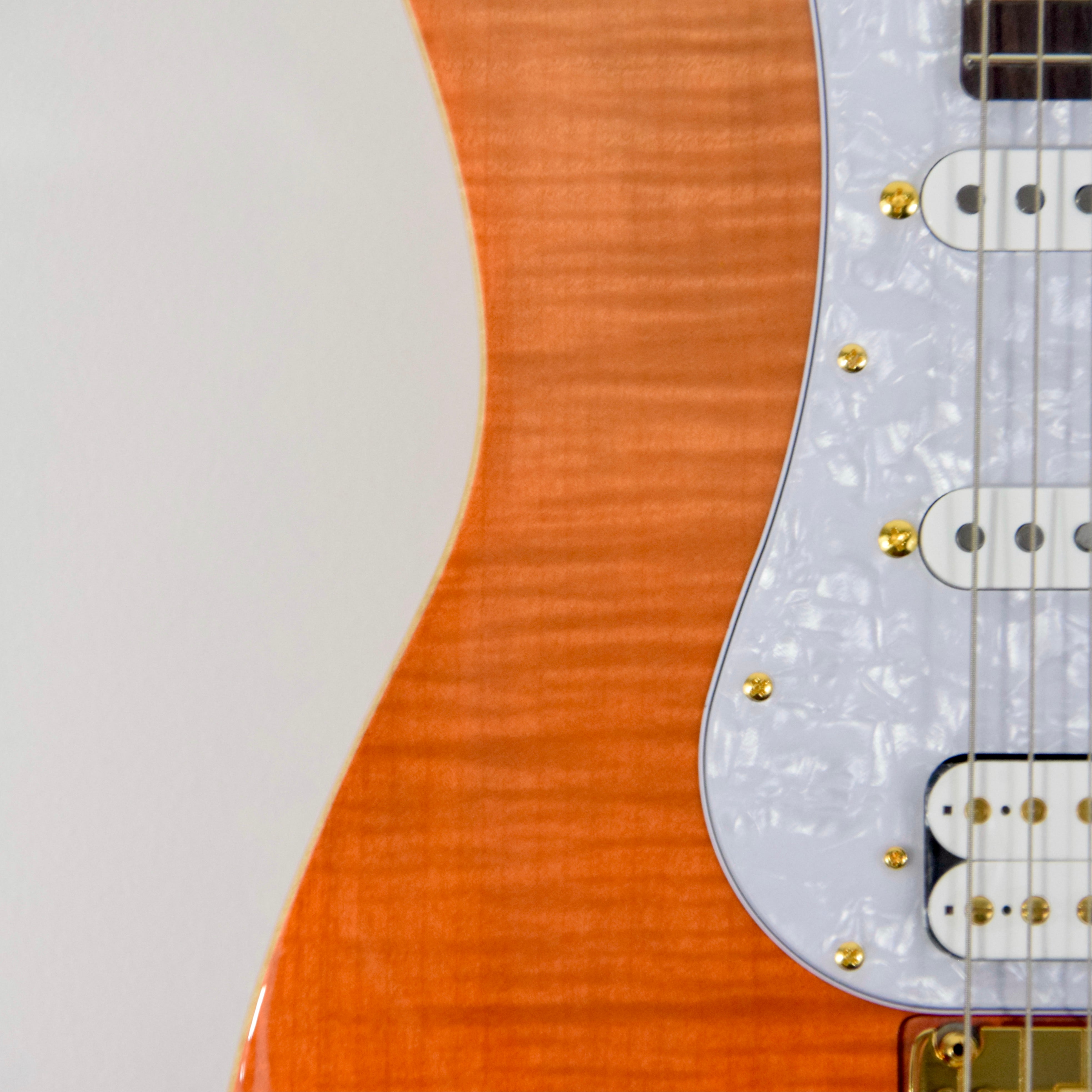 FGN Expert Odyssey EOS-FM-R Electric Guitar (BLEM) w/ Case