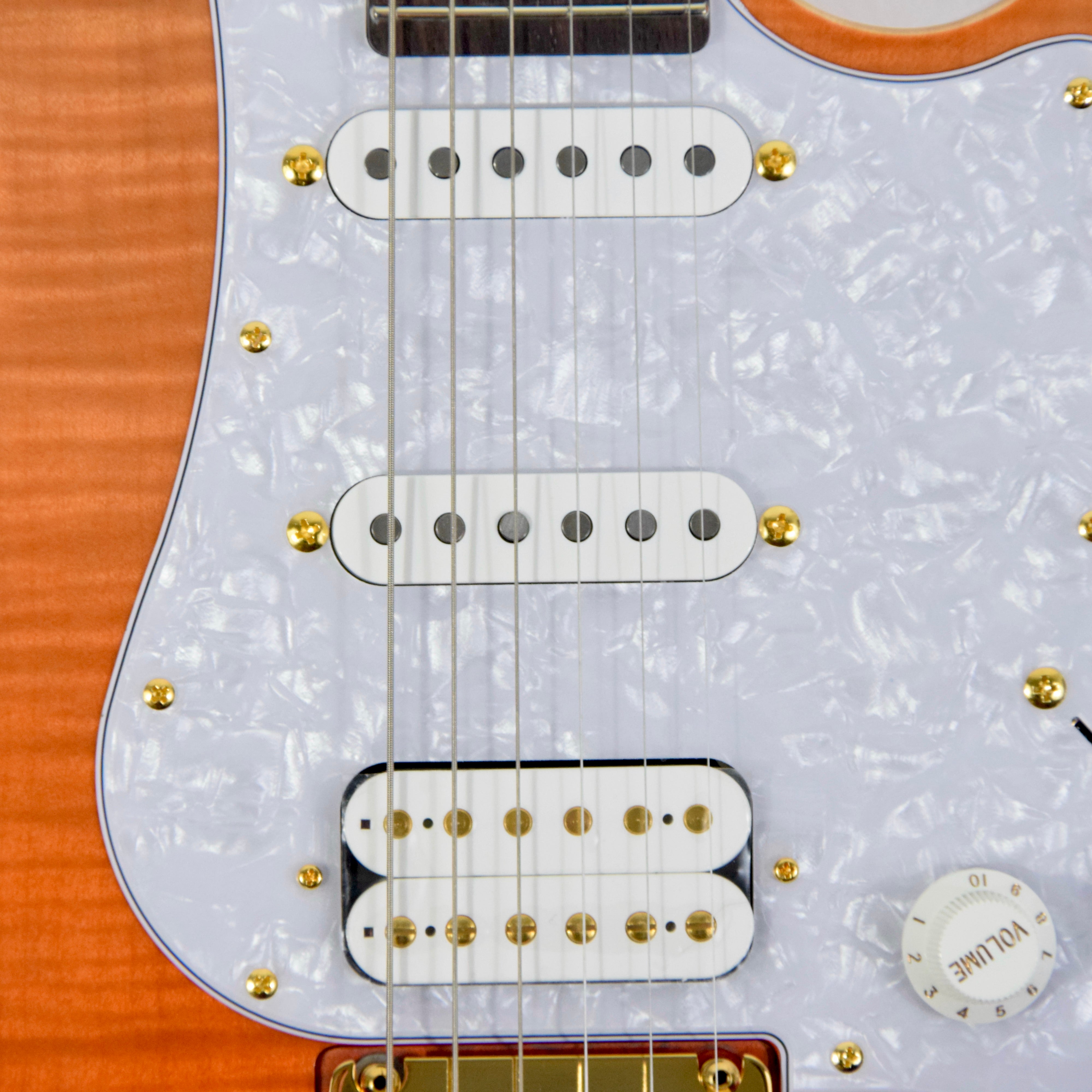 FGN Expert Odyssey EOS-FM-R Electric Guitar (BLEM) w/ Case