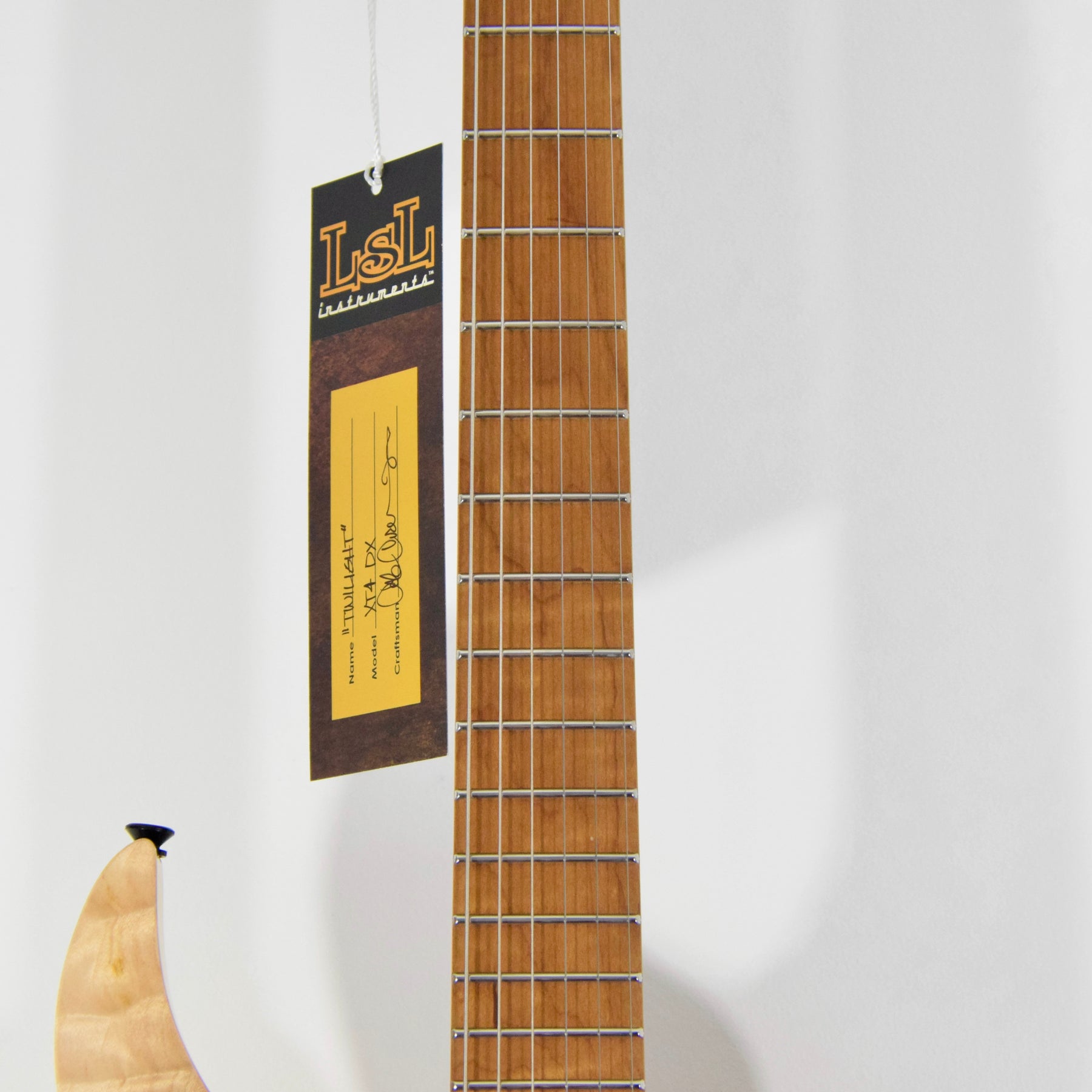 LsL Instruments XT4 DX "Twlight" Electric Guitar w/ Case