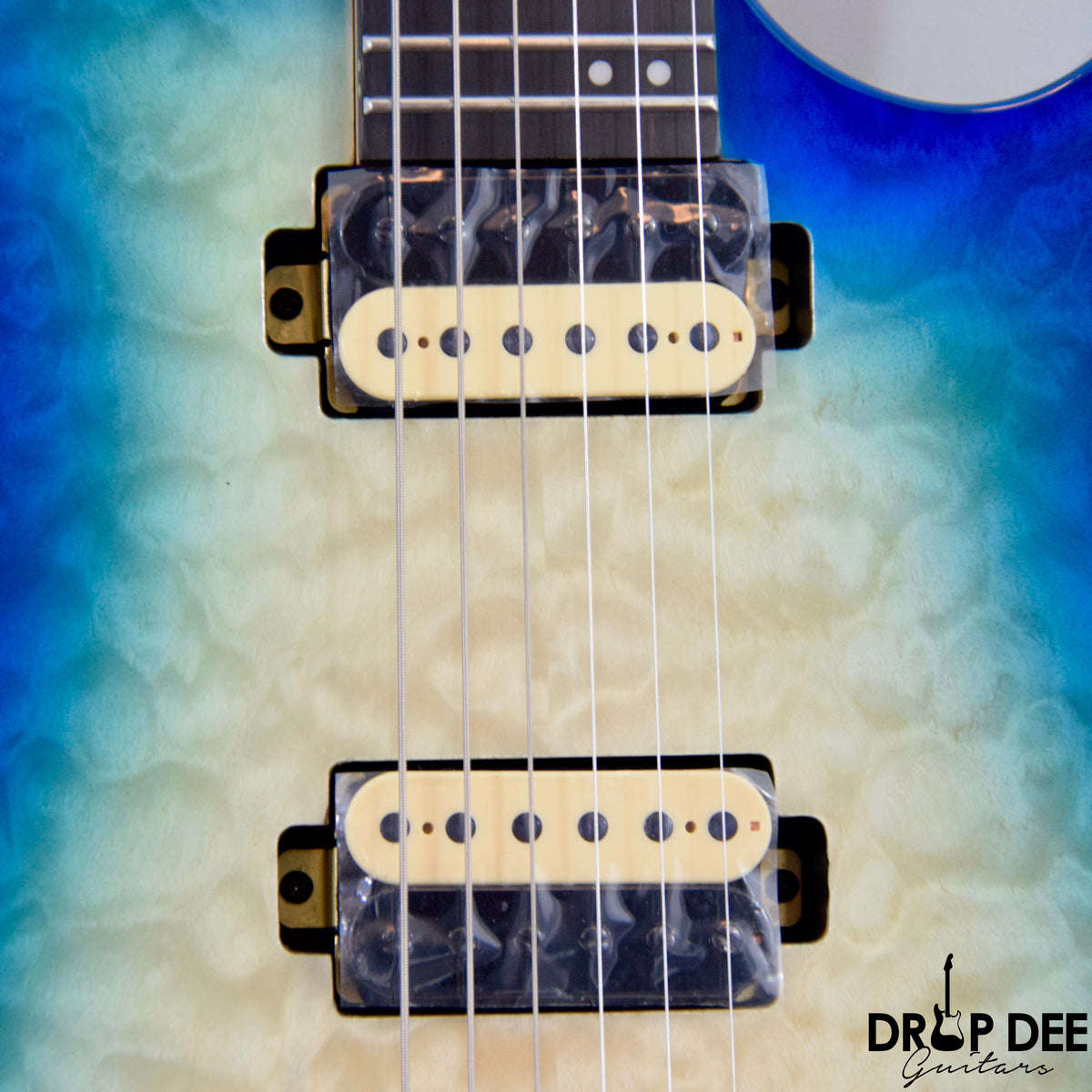 Cerberus Erebus Electric Guitar w/ Bag