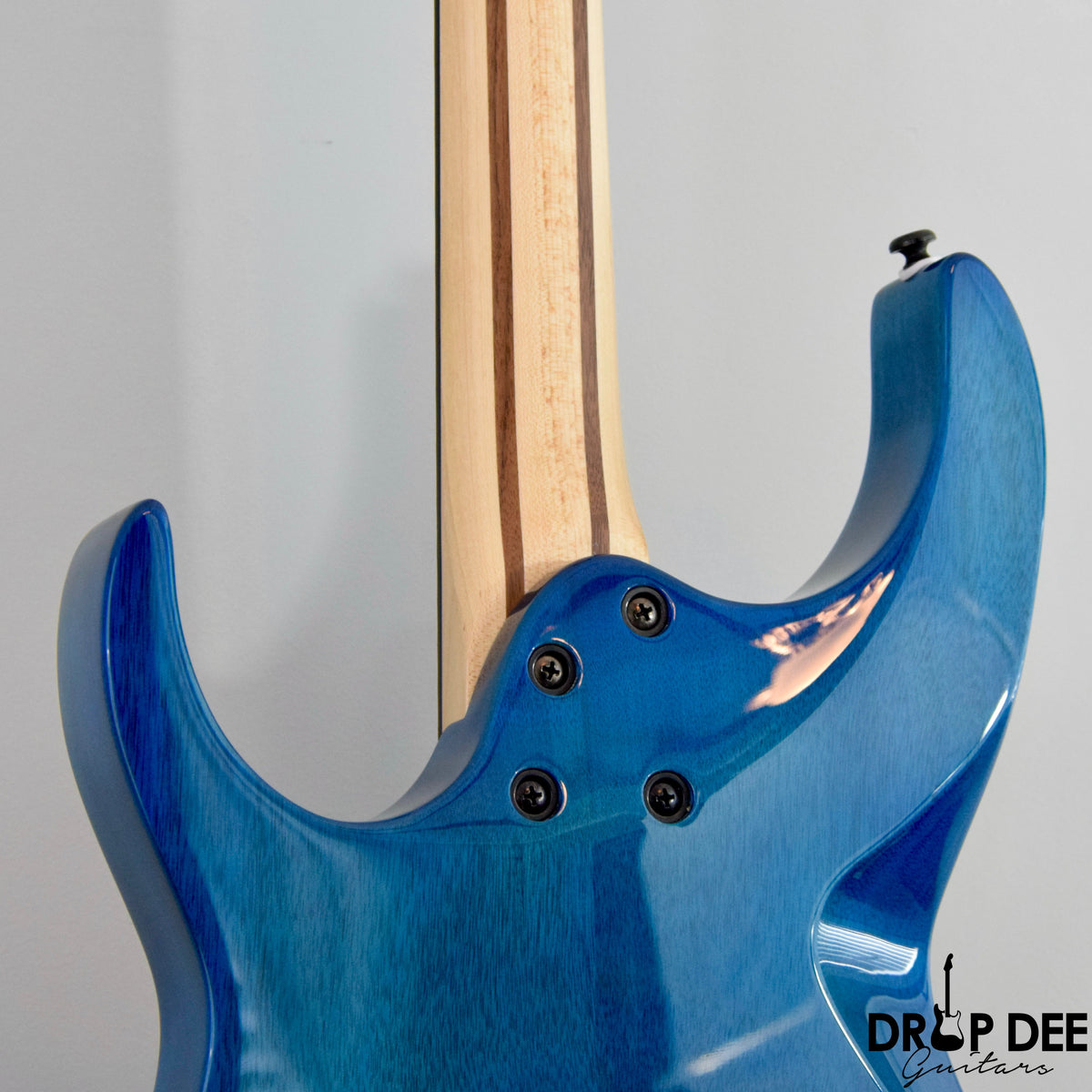 Cerberus Erebus Electric Guitar w/ Bag