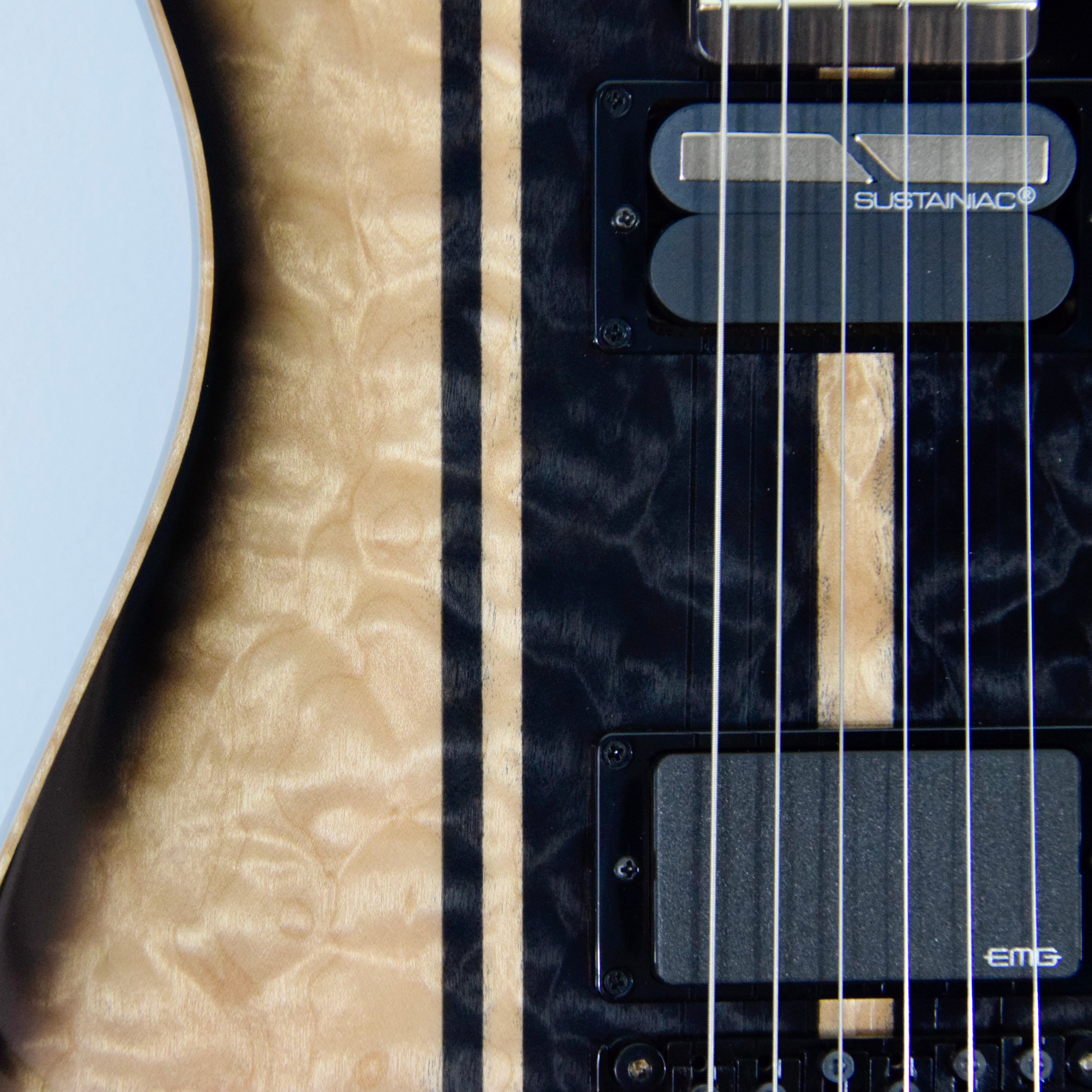 Schecter USA Custom Shop DJ Ashba Signature Electric Guitar w/ Case