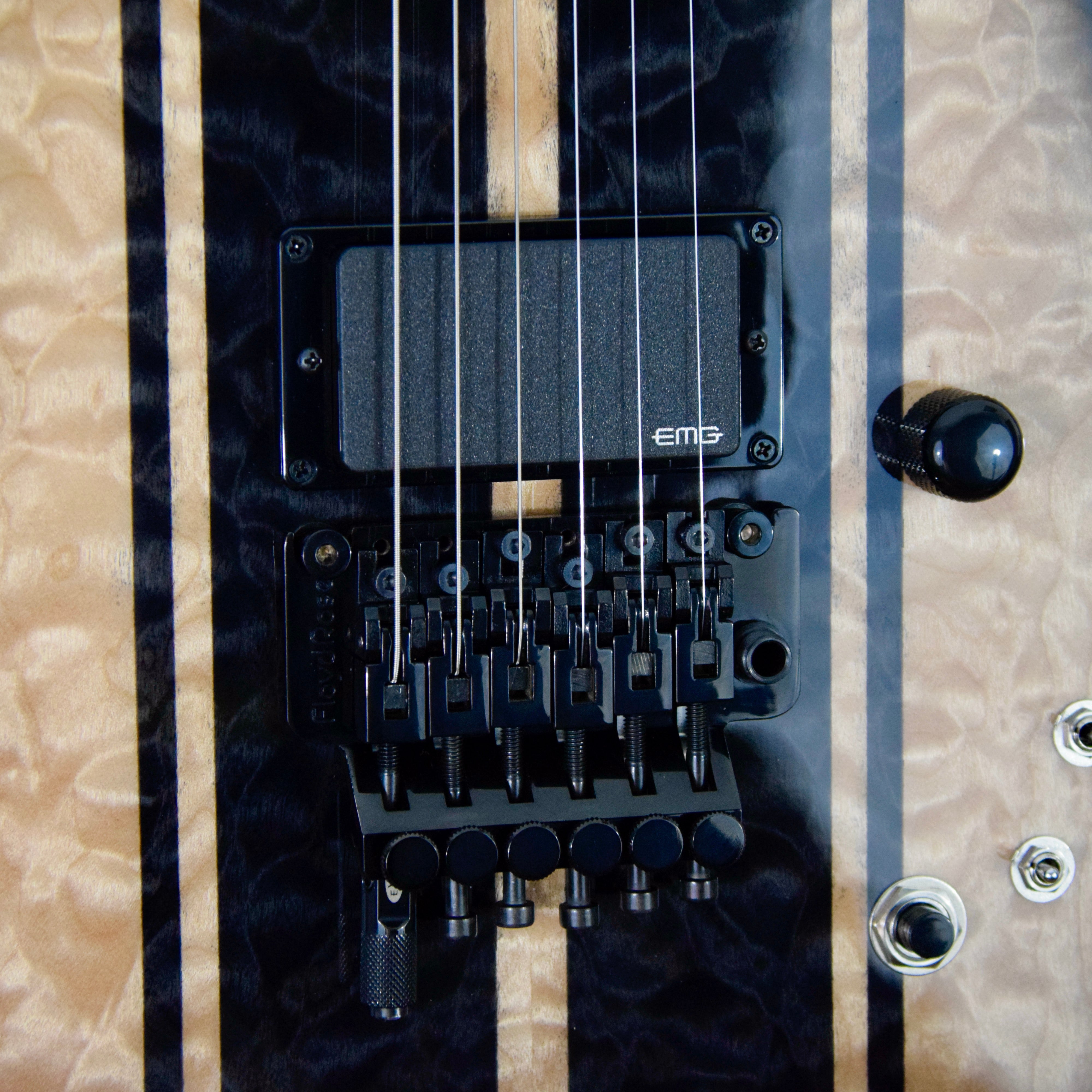 Schecter USA Custom Shop DJ Ashba Signature Electric Guitar w/ Case