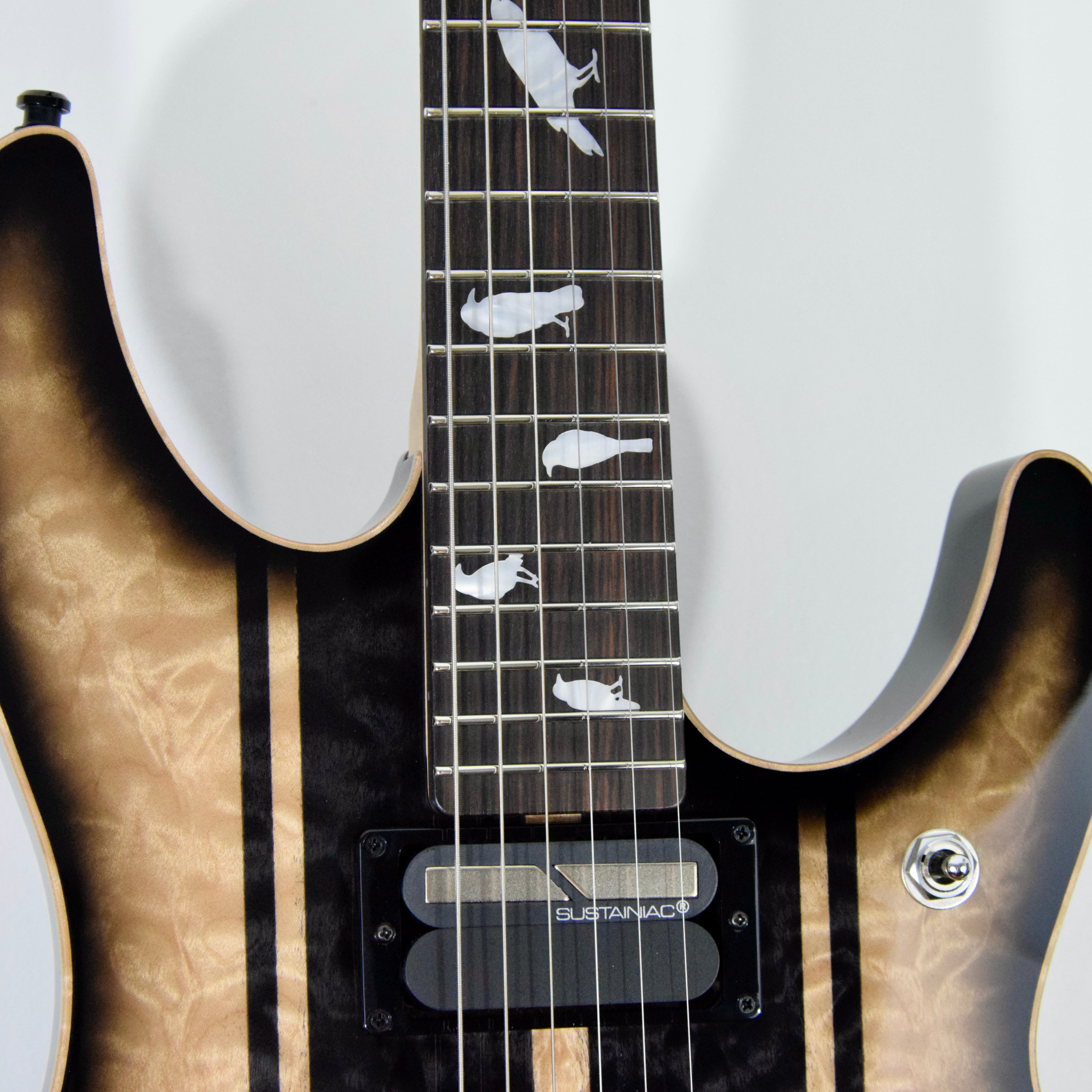 Schecter USA Custom Shop DJ Ashba Signature Electric Guitar w/ Case