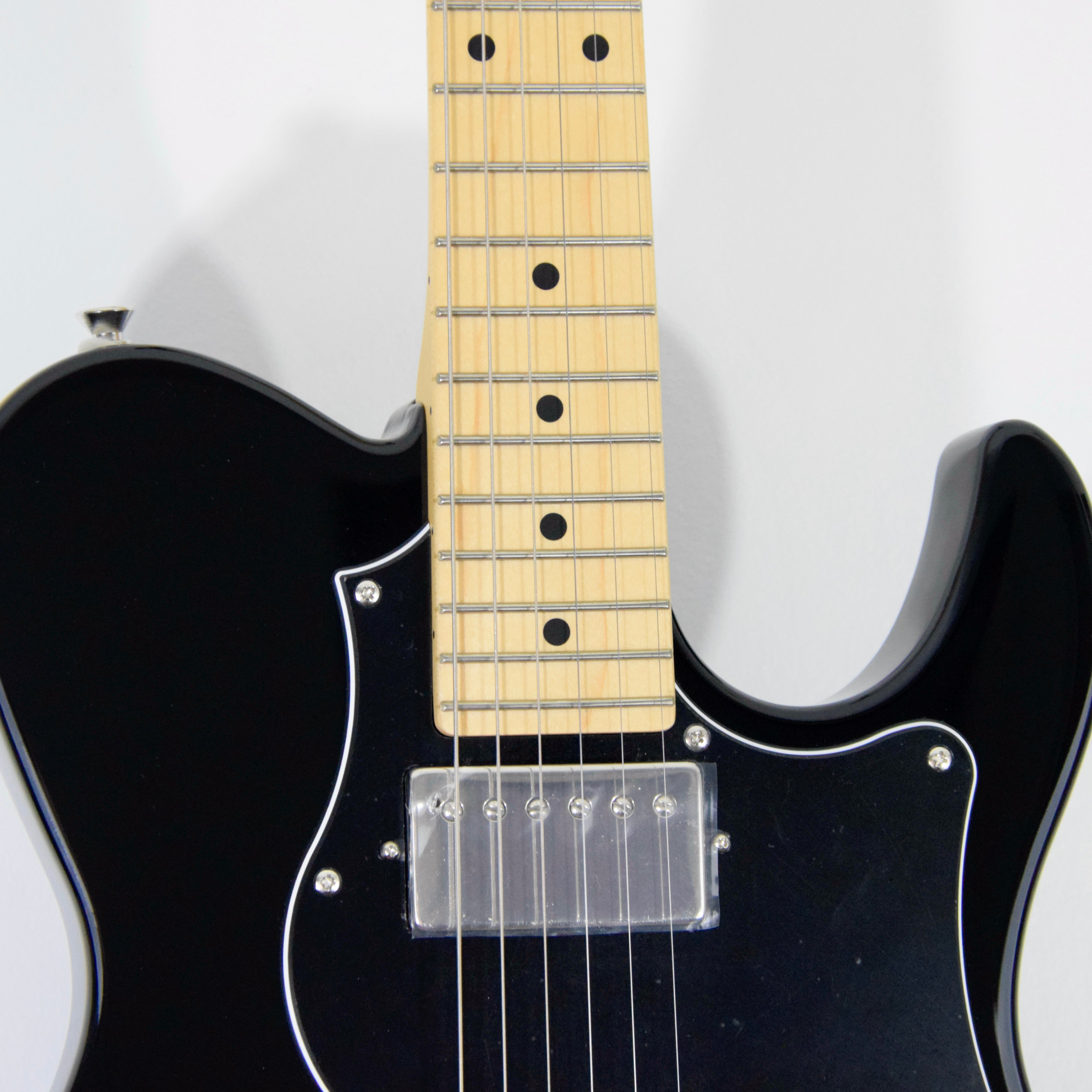 FGN J-Standard Iliad BIL2M Electric Guitar