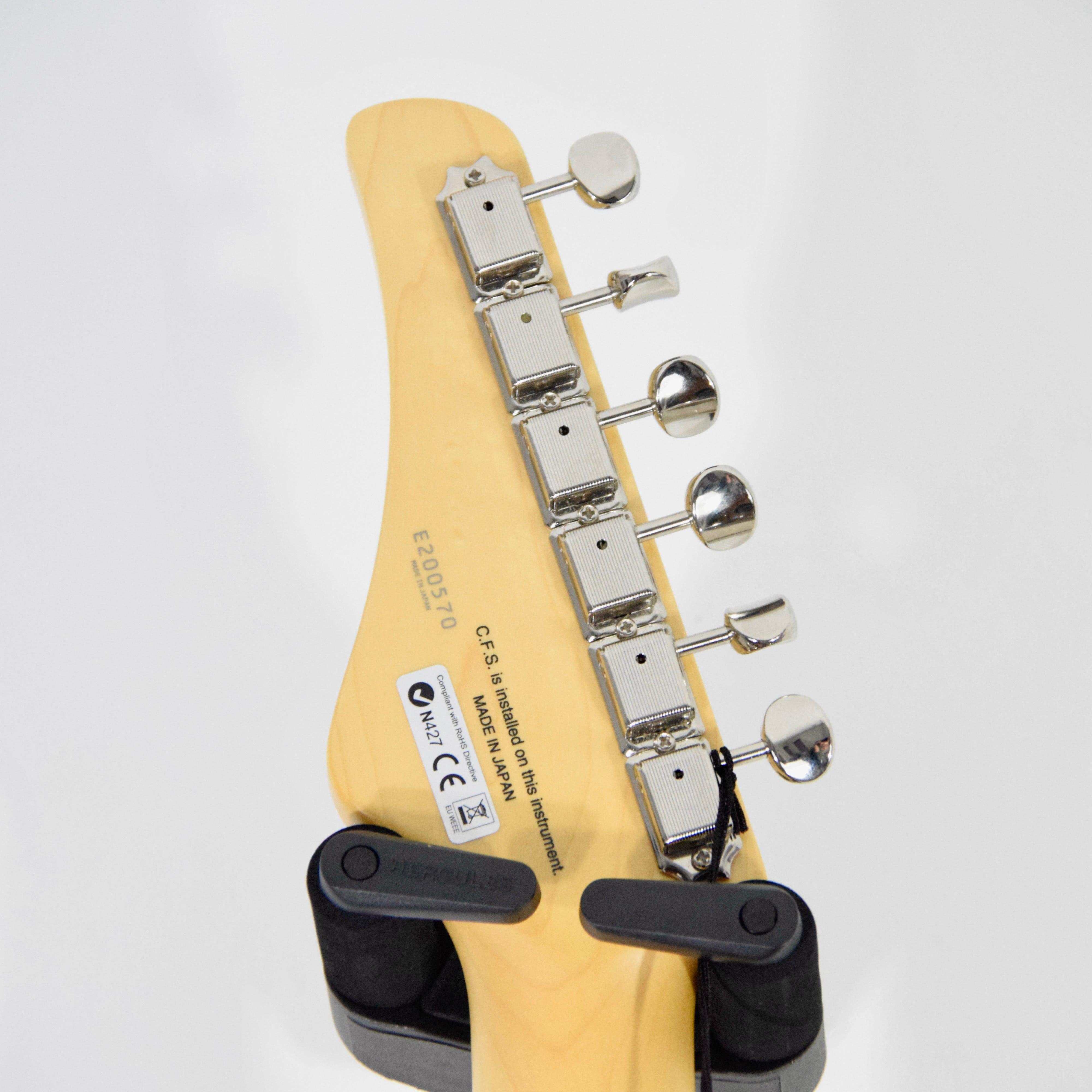 FGN J-Standard Iliad BIL2M Electric Guitar