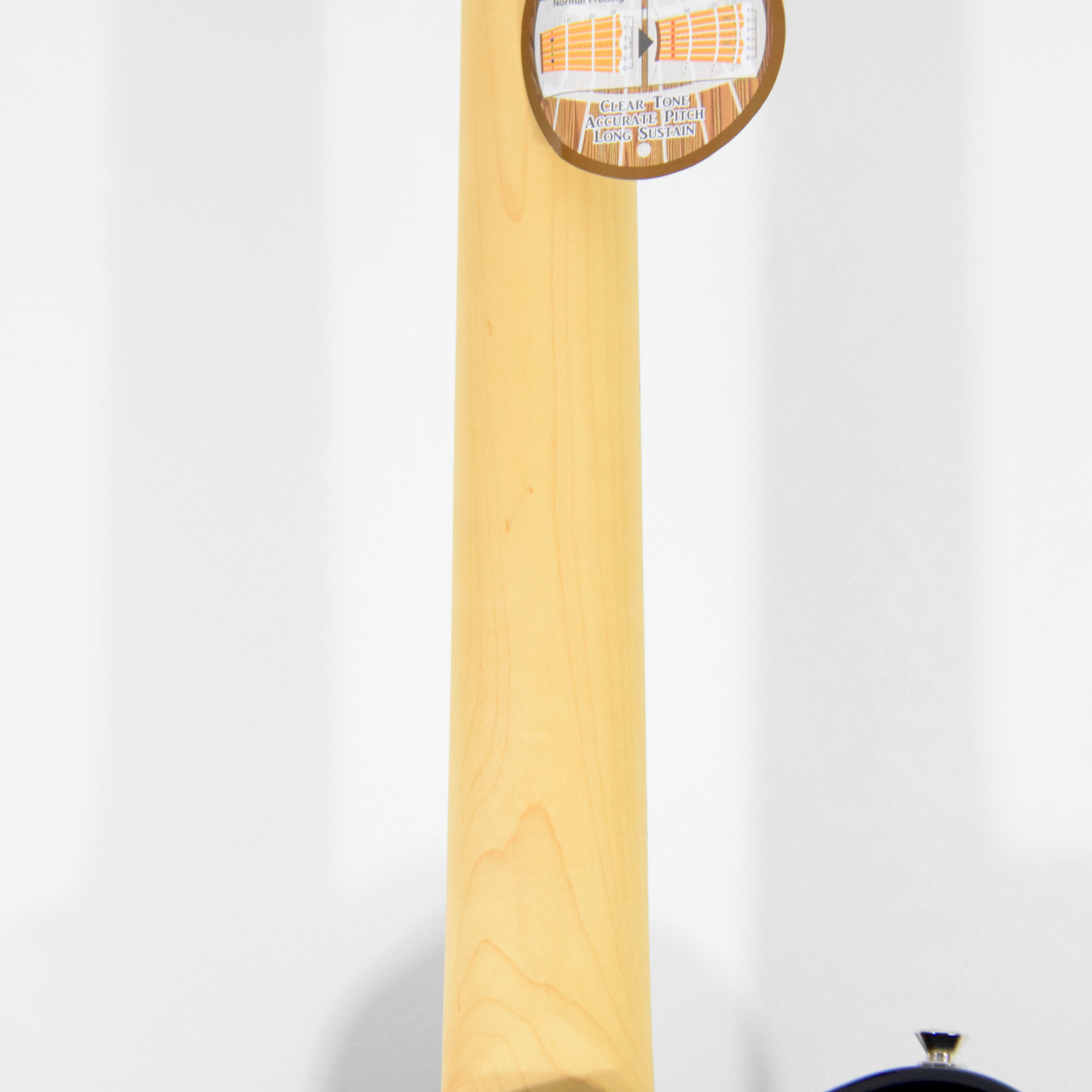 FGN J-Standard Iliad BIL2M Electric Guitar