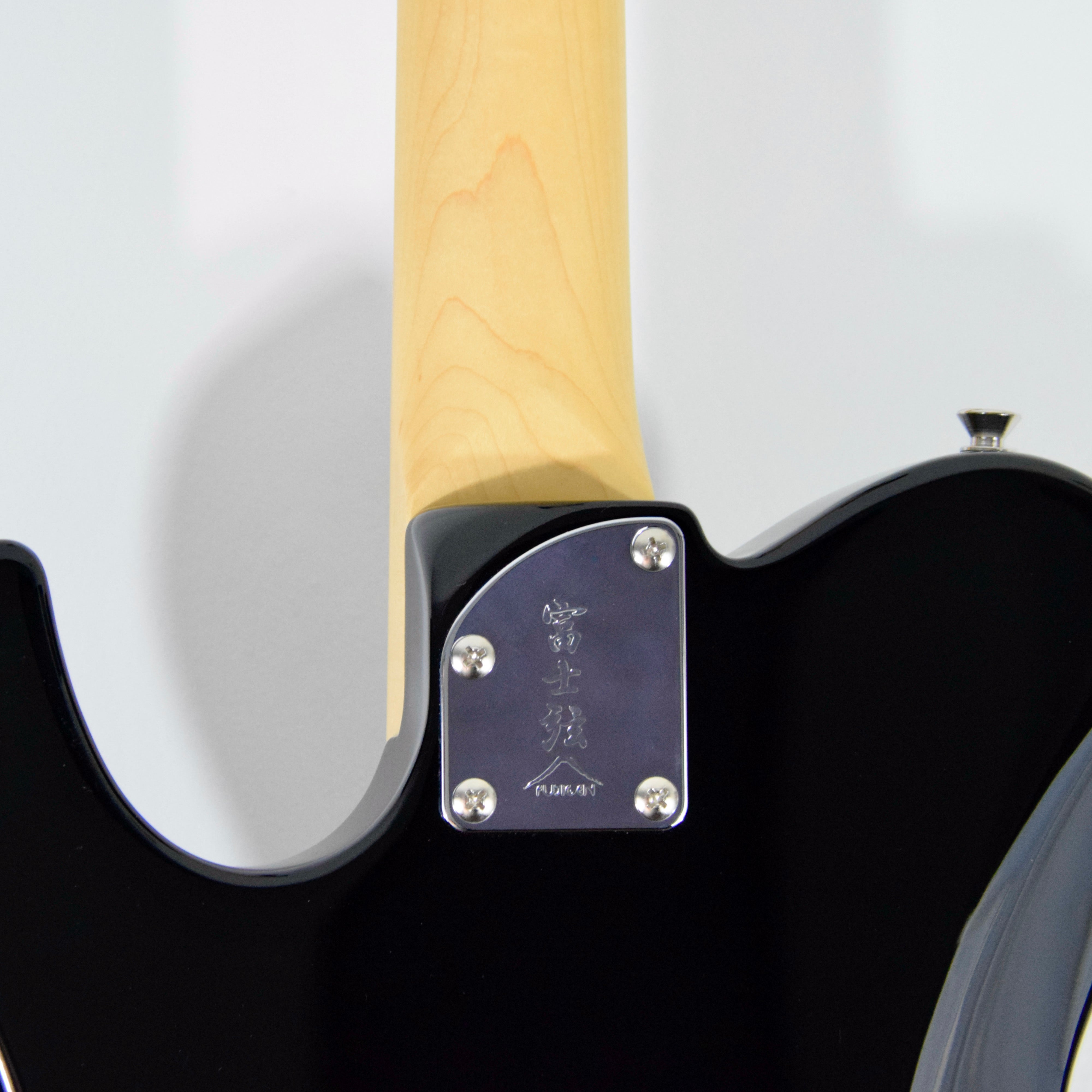 FGN J-Standard Iliad BIL2M Electric Guitar