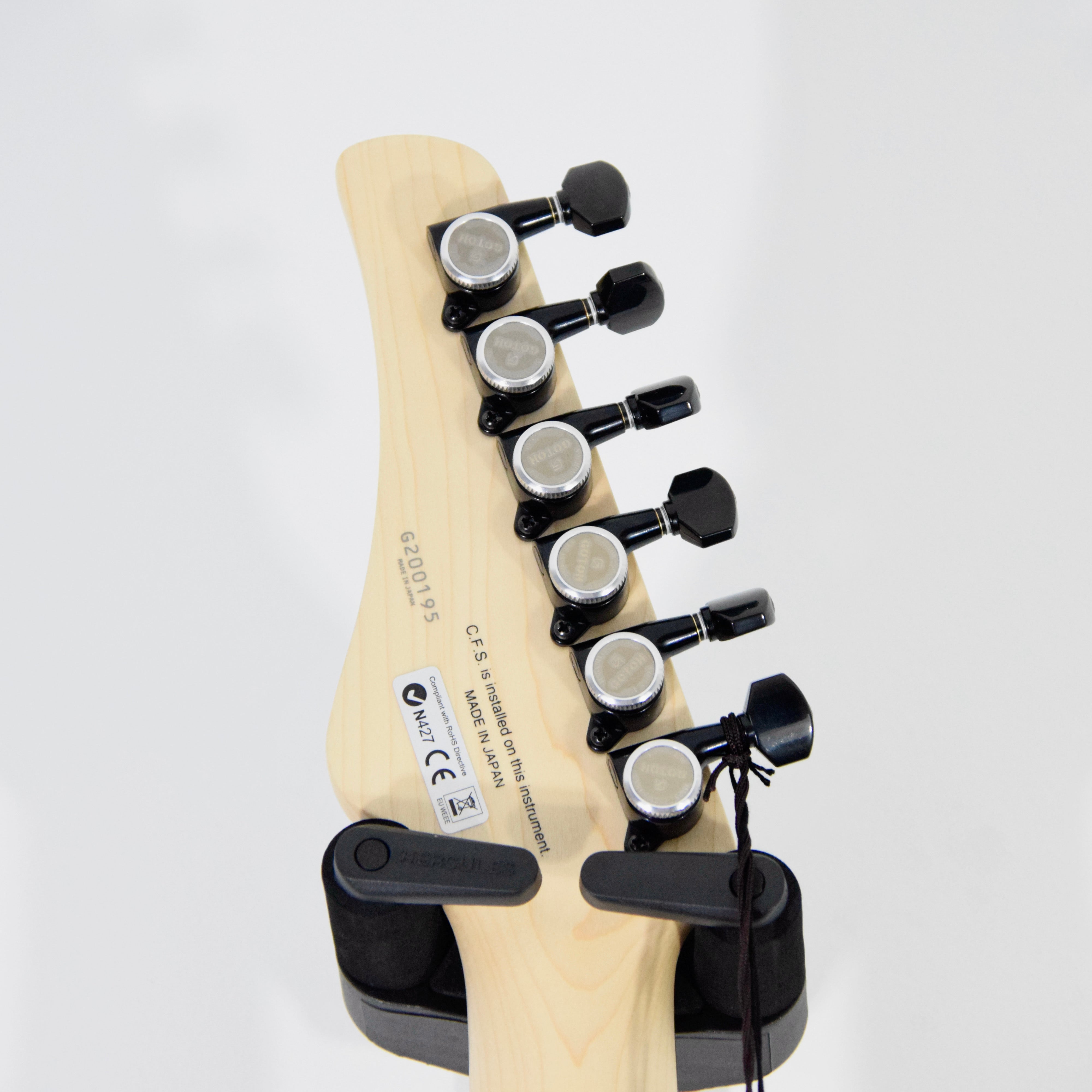 FGN J-Stantard Iliad JIL2ASHDE664G Electric Guitar w/ Bag