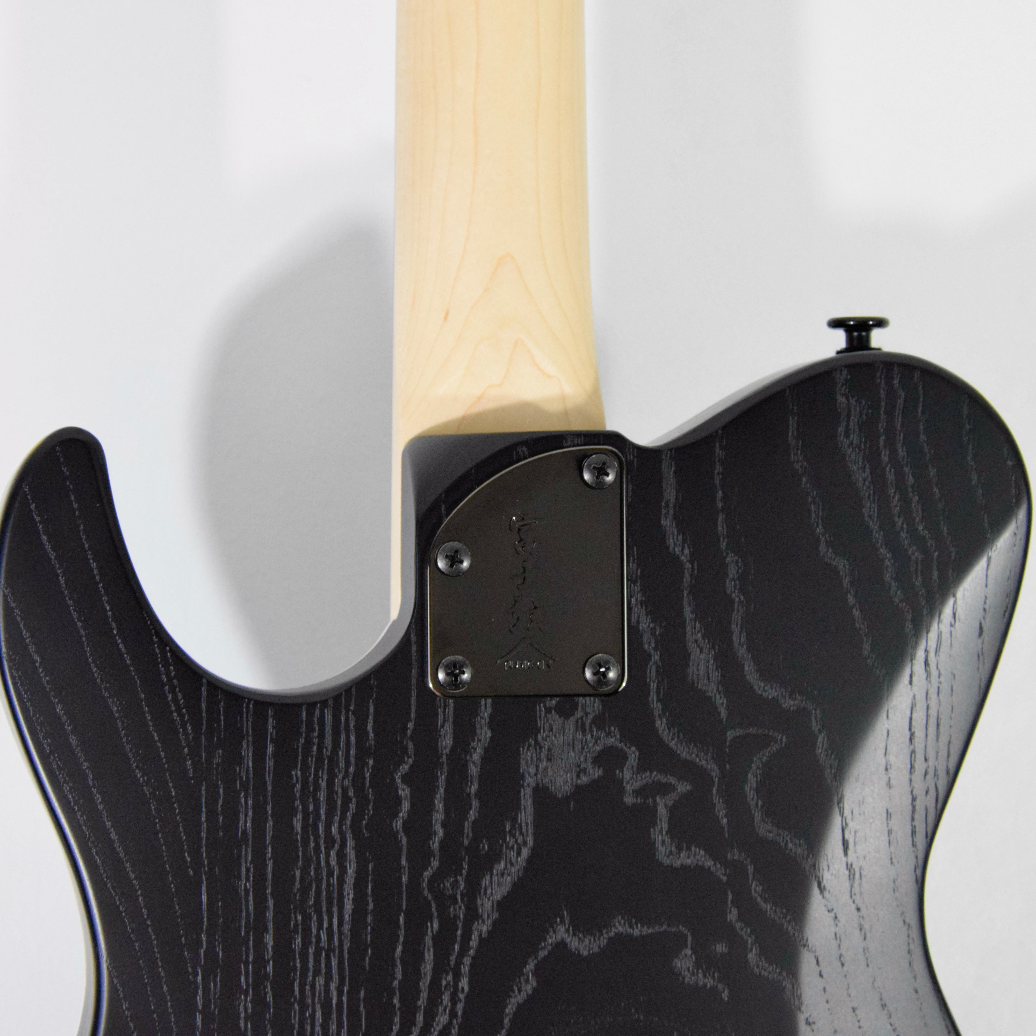 FGN J-Stantard Iliad JIL2ASHDE664G Electric Guitar w/ Bag