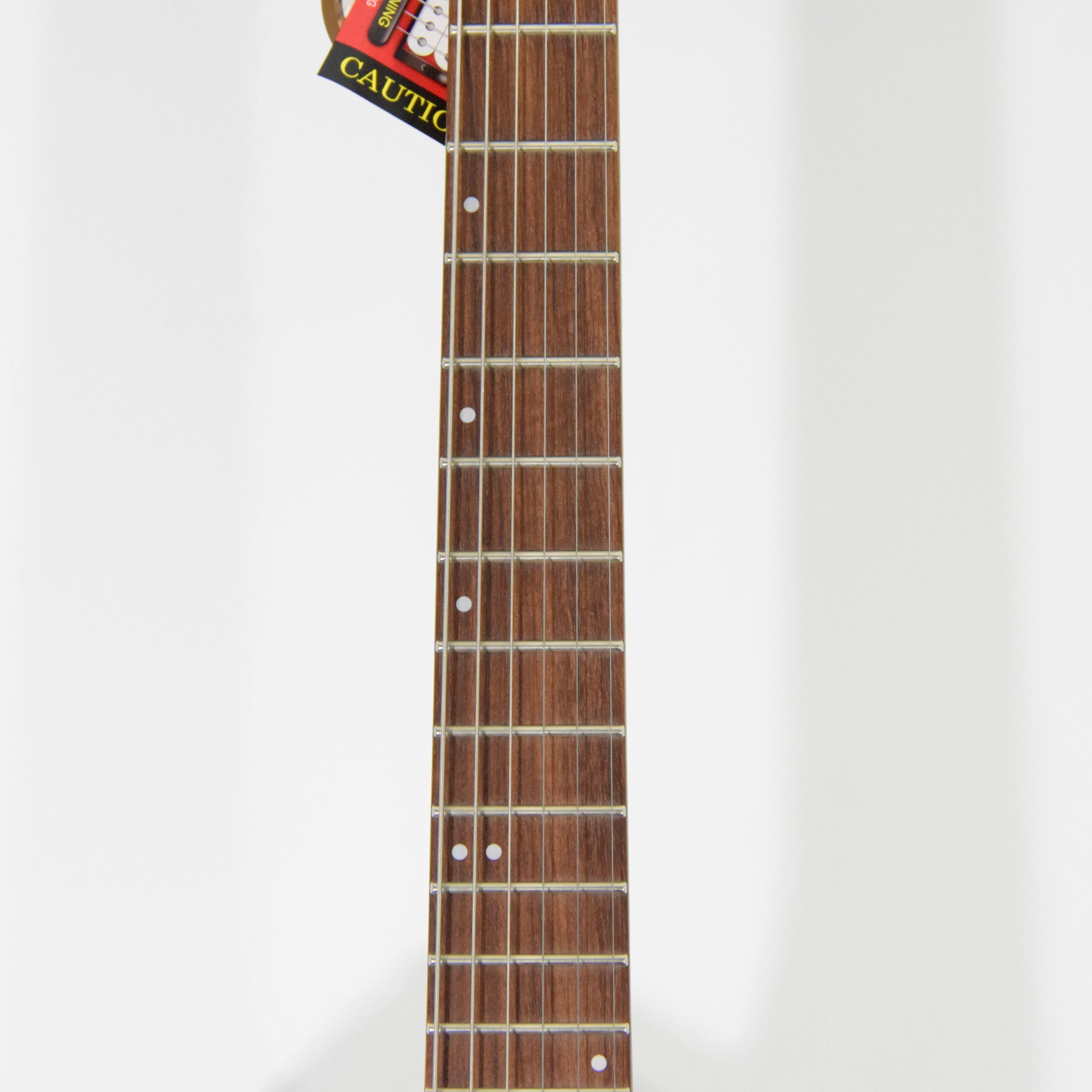 FGN J-Stantard Iliad JIL2ASHDE664G Electric Guitar w/ Bag