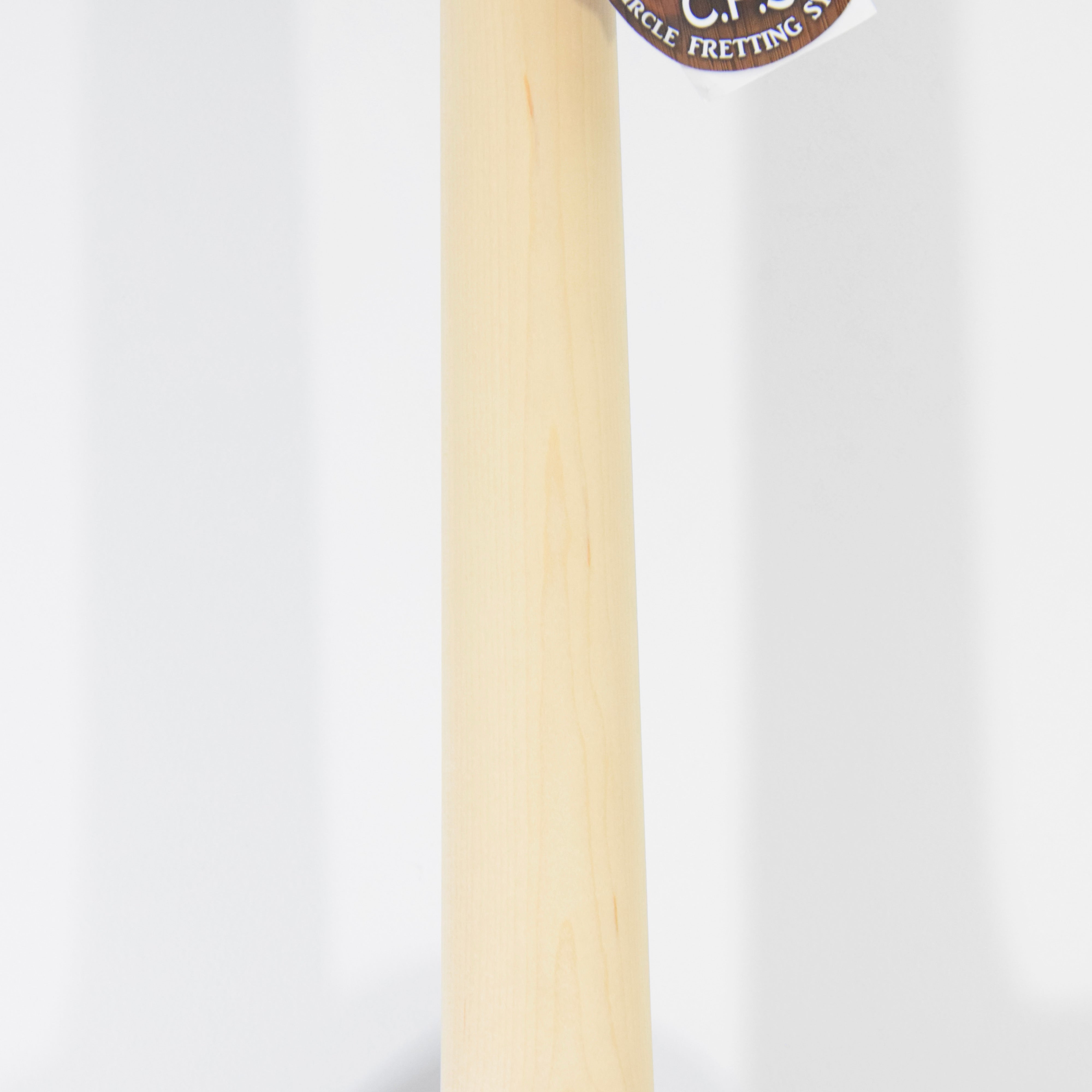 FGN J-Stantard Iliad JIL2ASHDE664G Electric Guitar w/ Bag