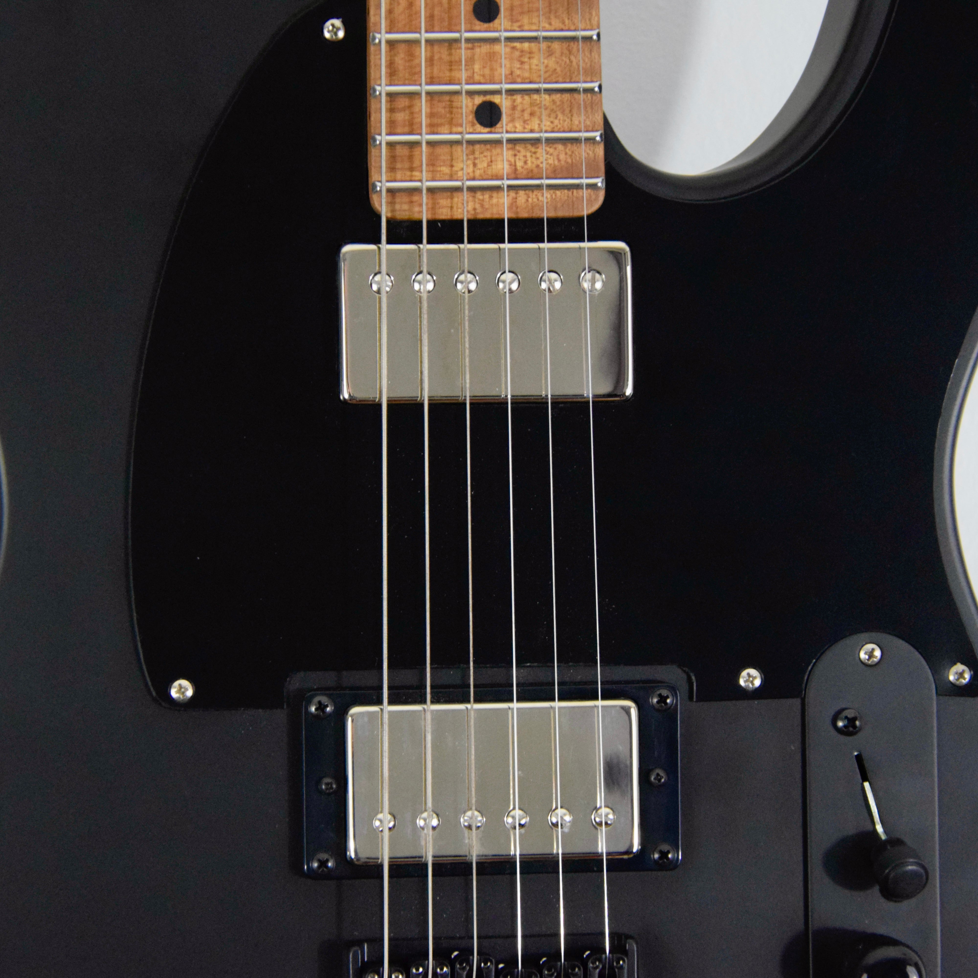 LsL Instruments T-Bone One Electric Guitar w/ Case
