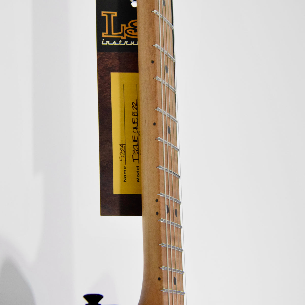 LsL Instruments T-Bone One Electric Guitar w/ Case
