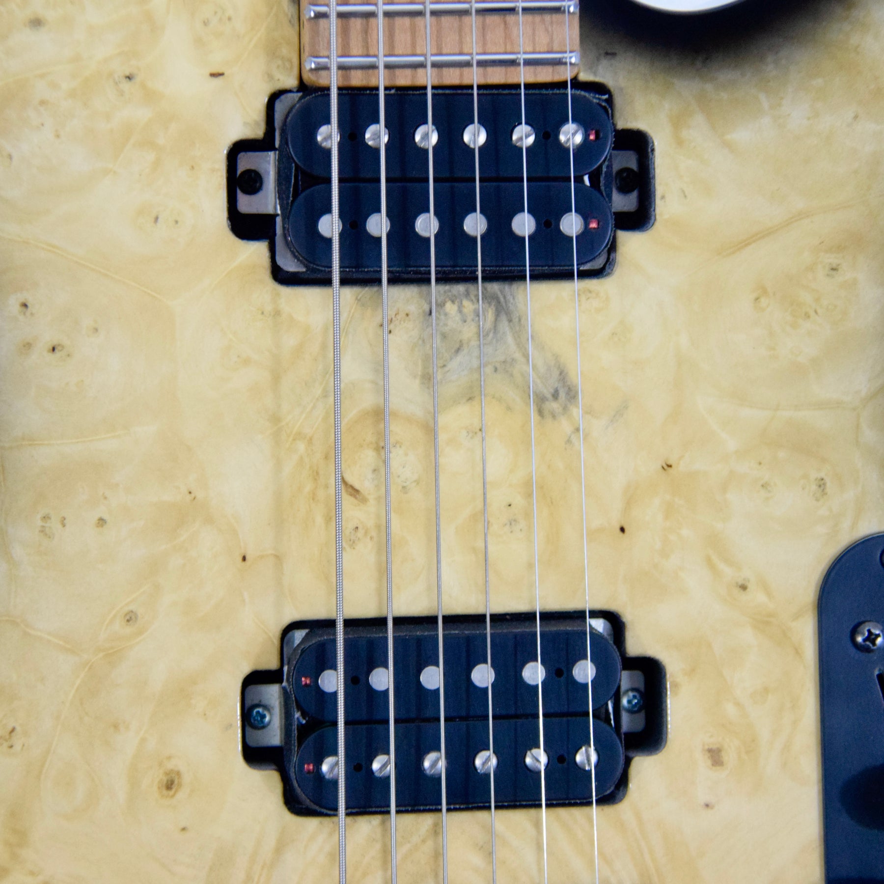 LsL Instruments Baribone DX Electric Guitar "Maze" w/ Case