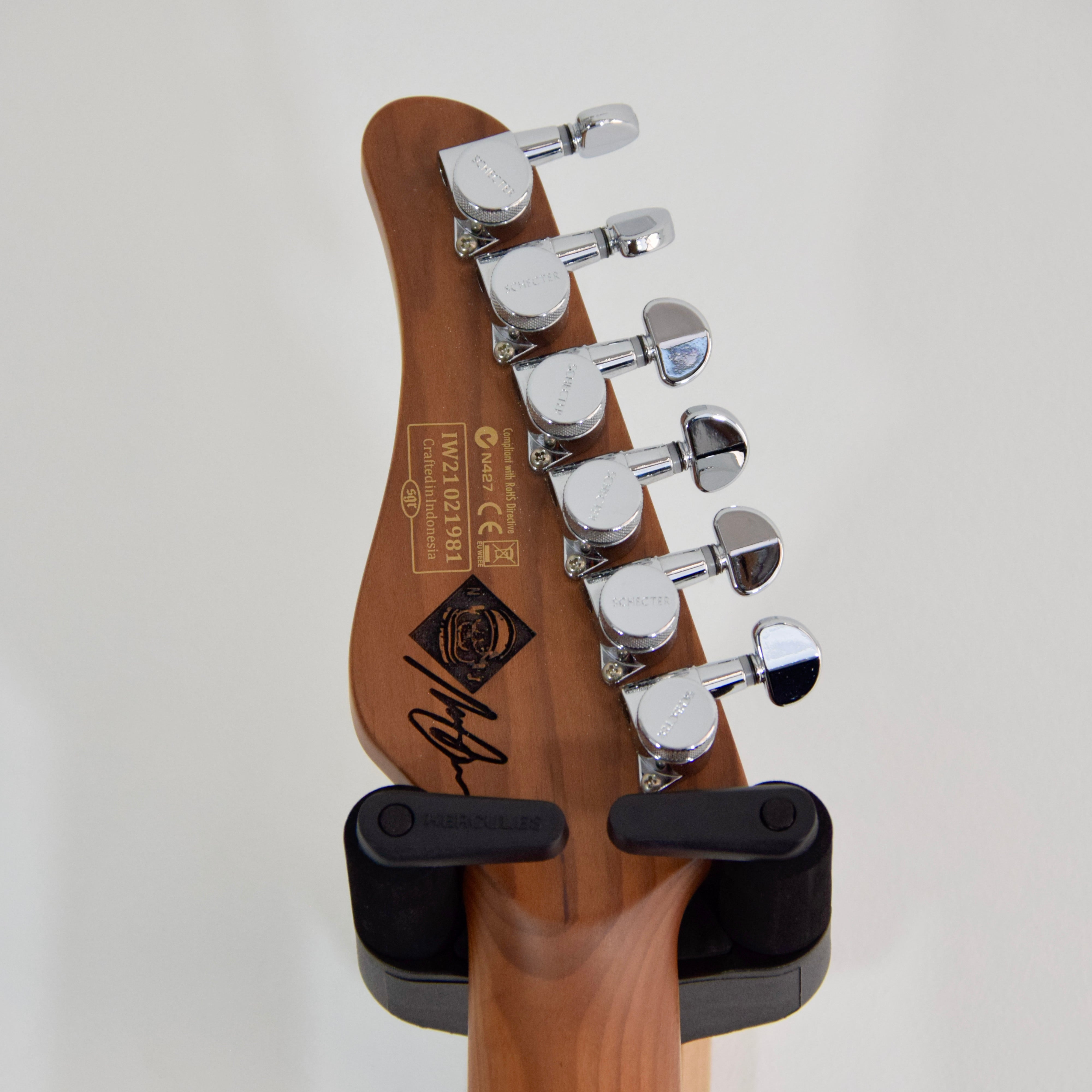 Schecter Nick Johnston Traditional Electric Guitar