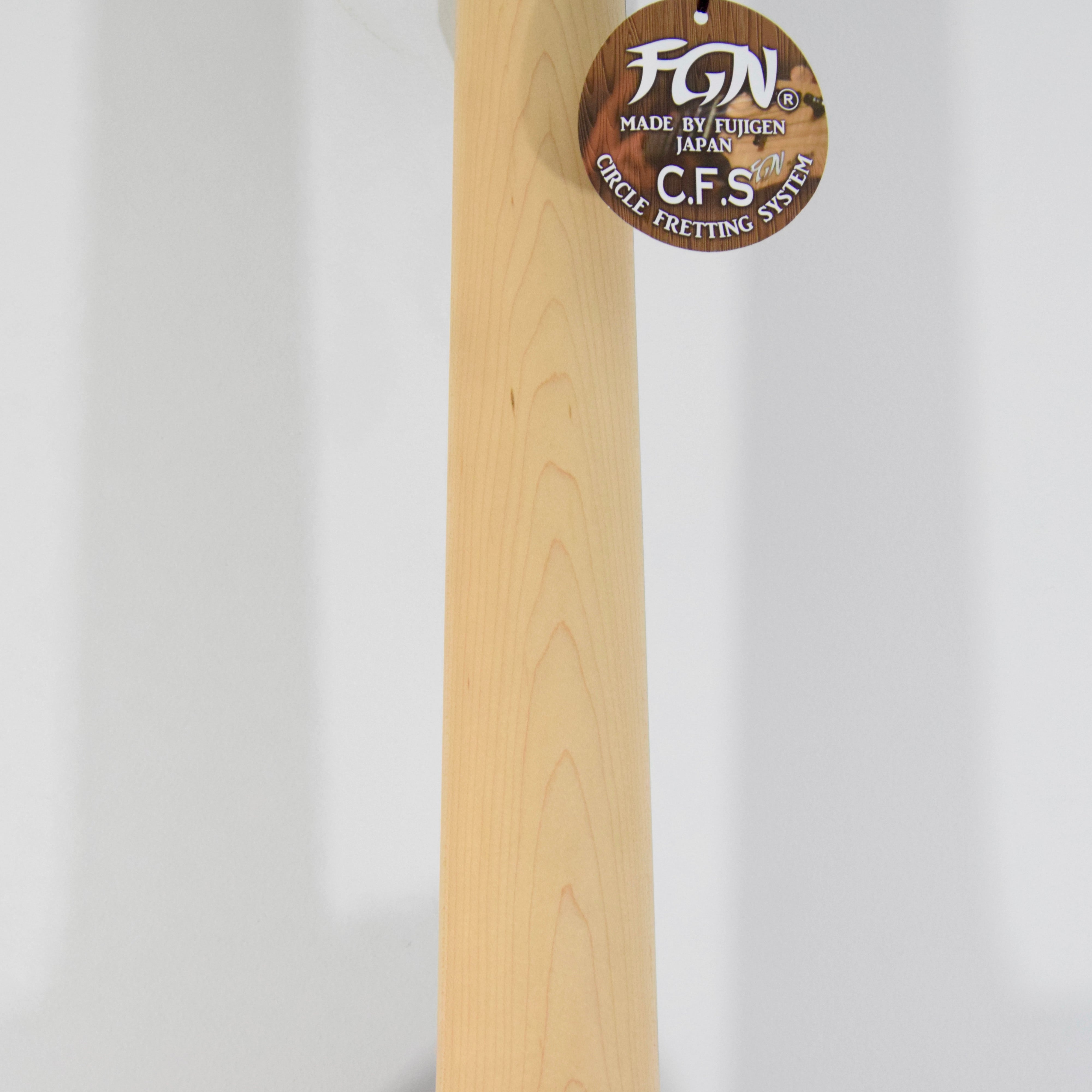 FGN J-Standard Iliad JIL72ASHDEG 7-String Electric Guitar w/ Bag