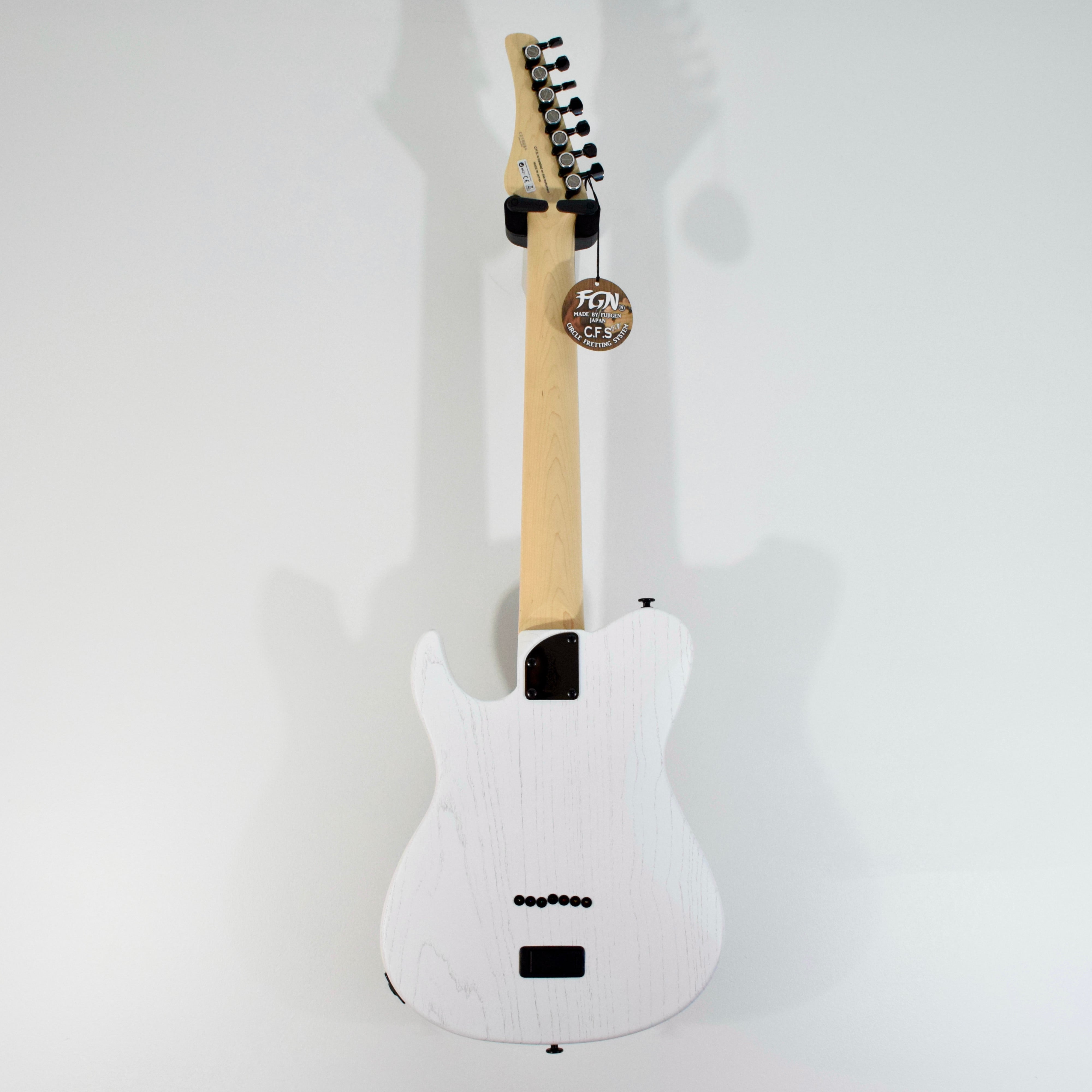 FGN J-Standard Iliad JIL72ASHDEG 7-String Electric Guitar w/ Bag