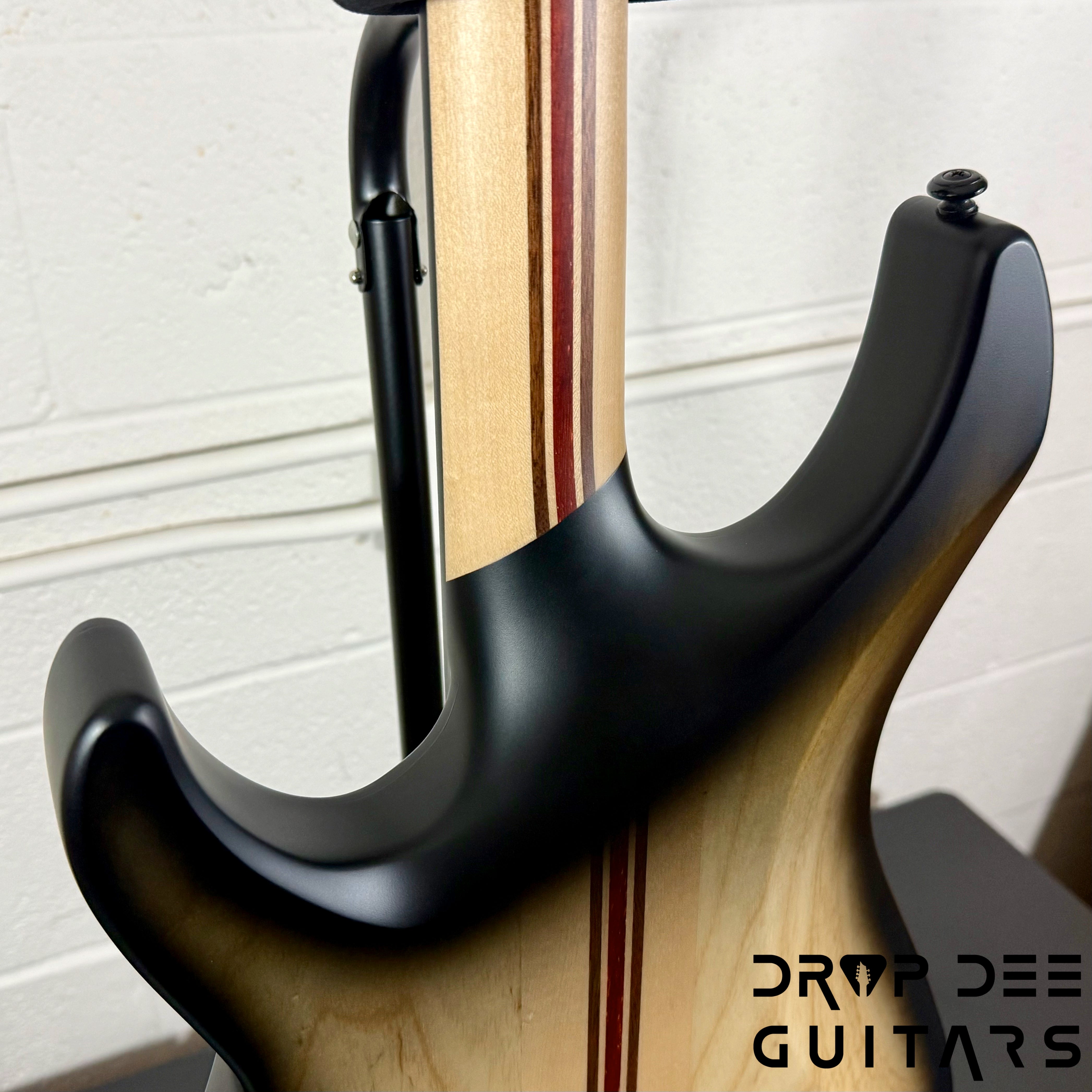 Schecter Diamond Series C-1 Pale Moon Electric Guitar - Natural Satin with Black Burst