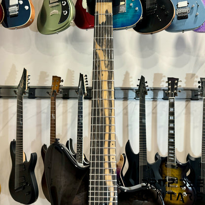 Balaguer DDG Exclusive Select Series Growler 7 7-String Electric Guitar w/ Bag