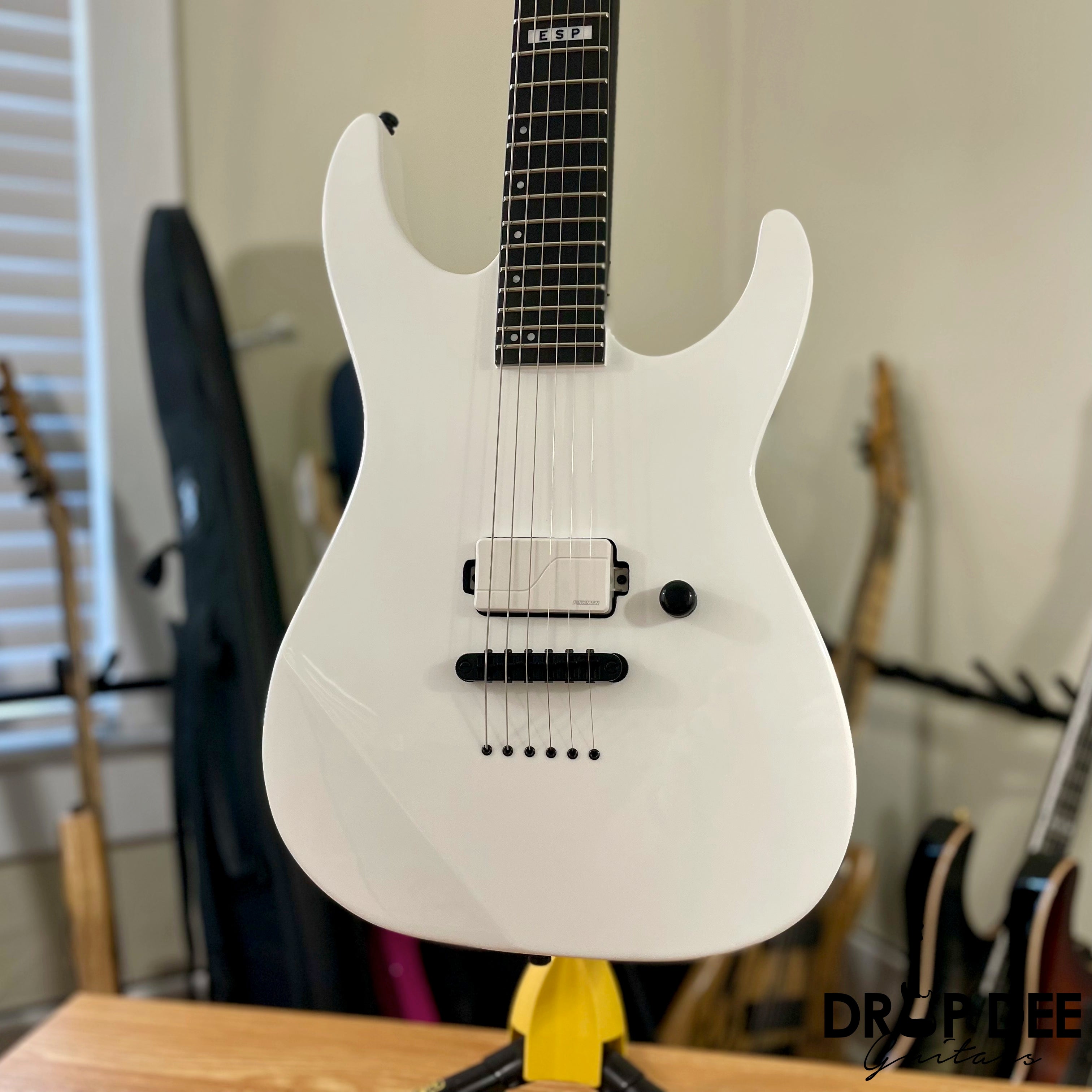 ESP E-II M-I NT Electric Guitar w/ Case